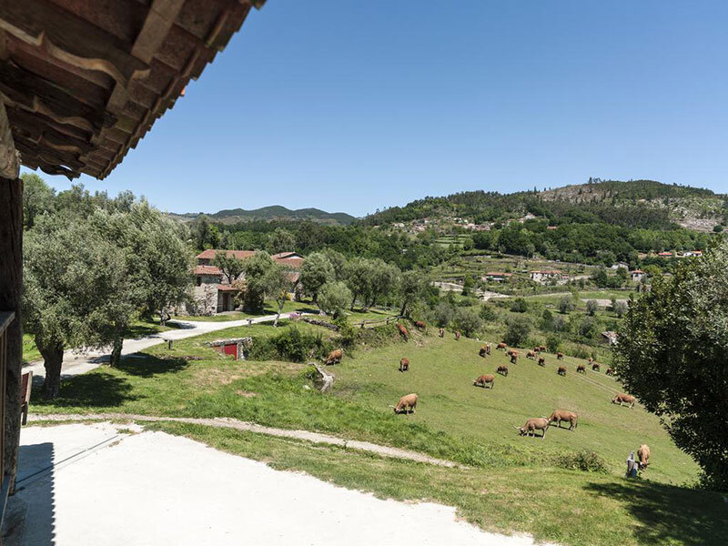 Quinta do Rapozinho 4