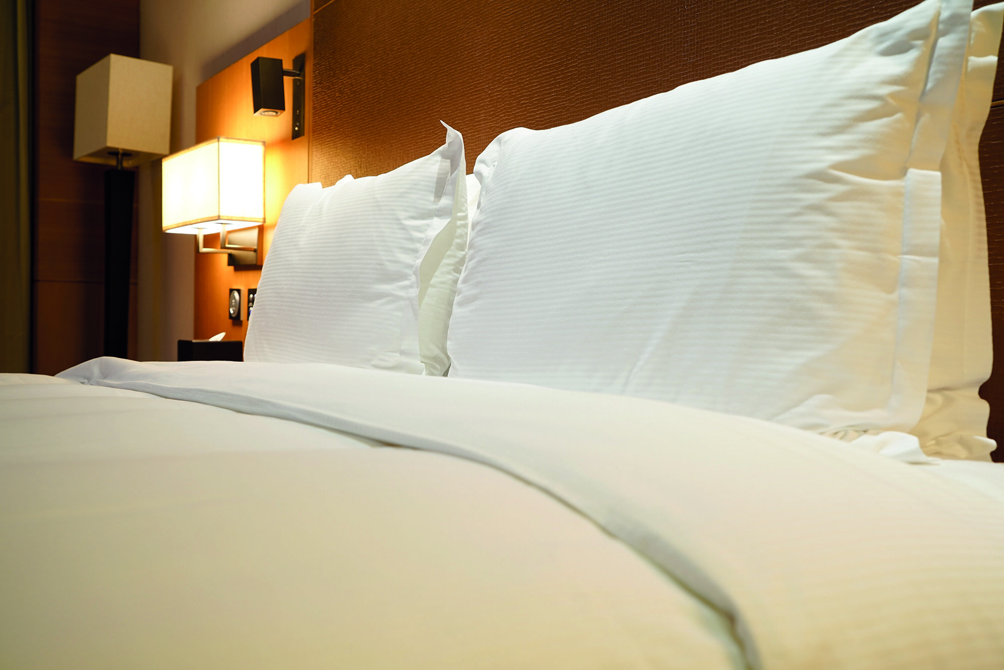 Ibis Dunkerque Centre 2