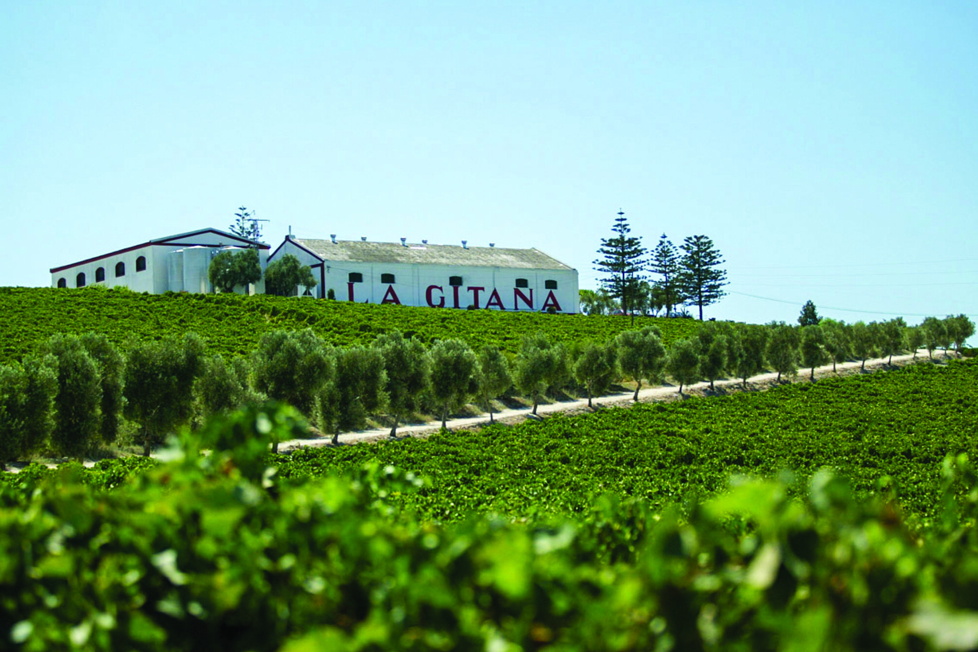 La Alcoba del Agua hotel boutique 3