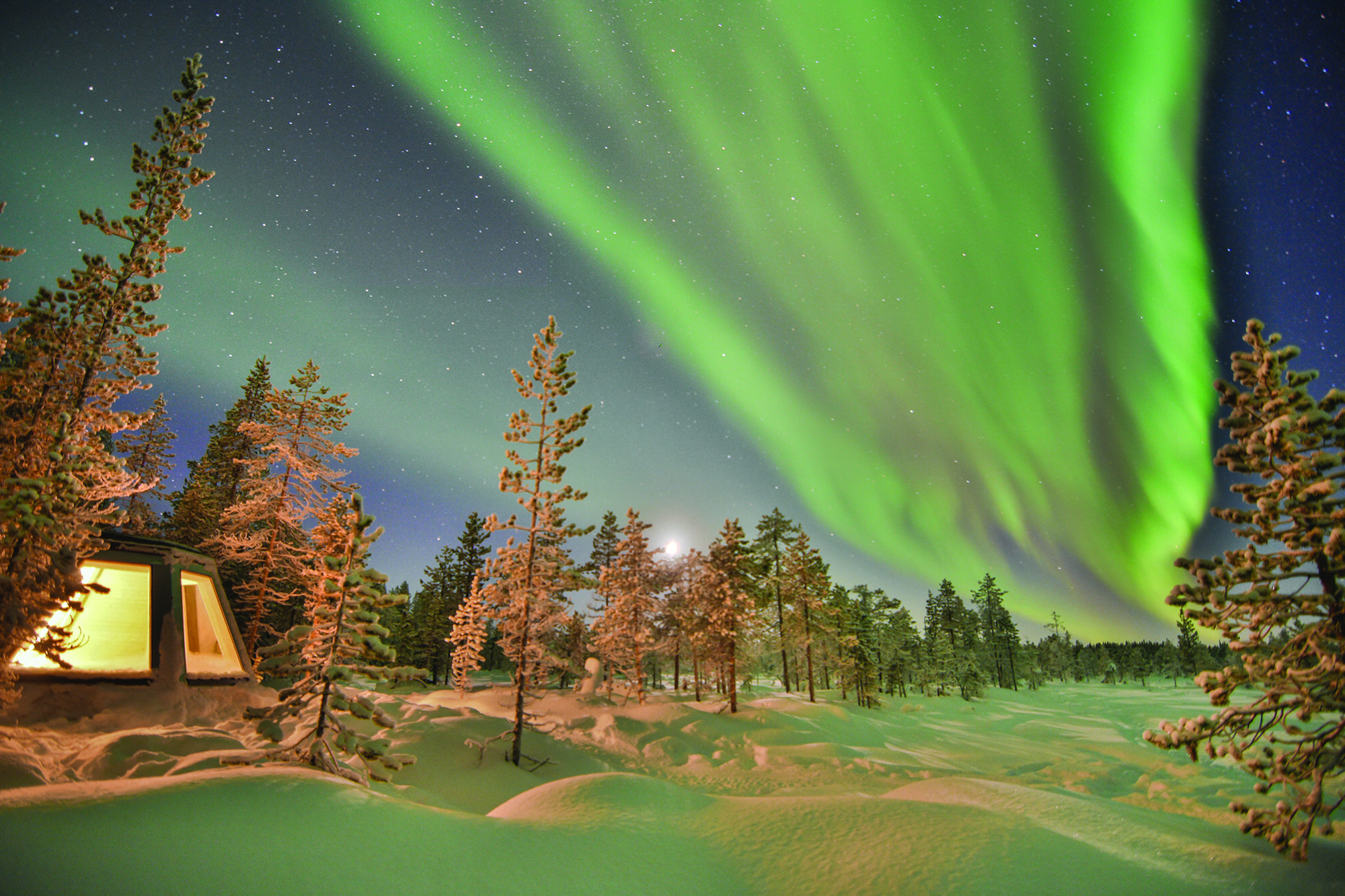 Aurora Borealis Adventures