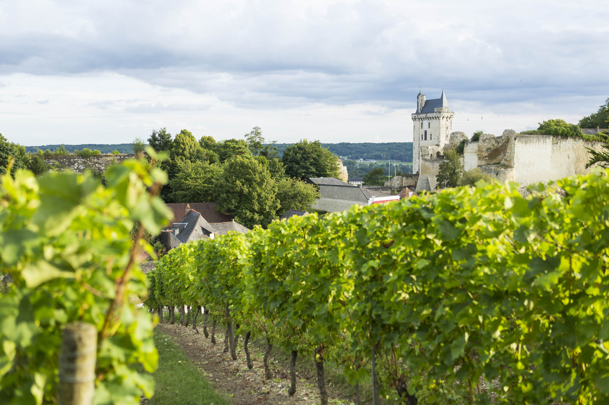 Hôtel La Croix Blanche Fontevraud 3