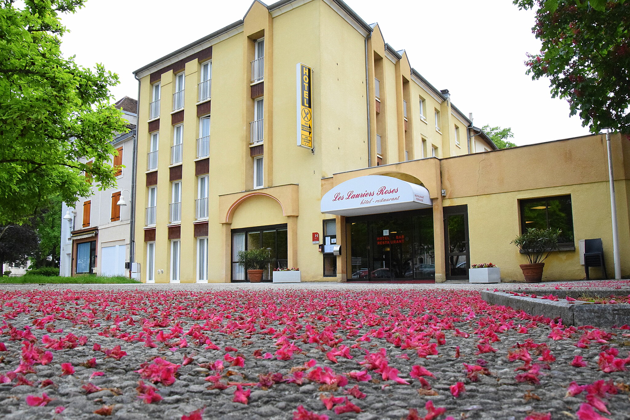 Hôtel des Lauriers Roses