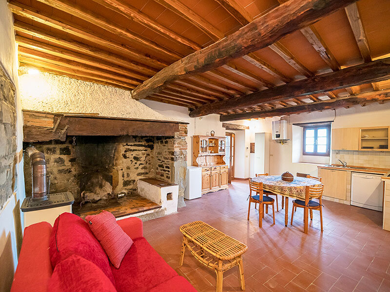Fattoria di Cintoia 3