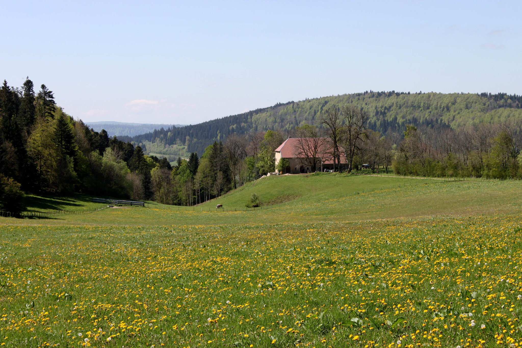 Ferme du Monthury 5