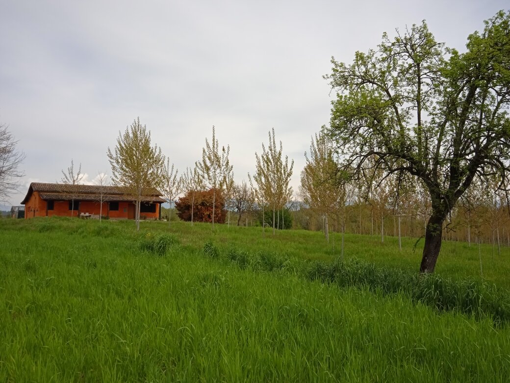 B&B il Girasole Ceprano 3