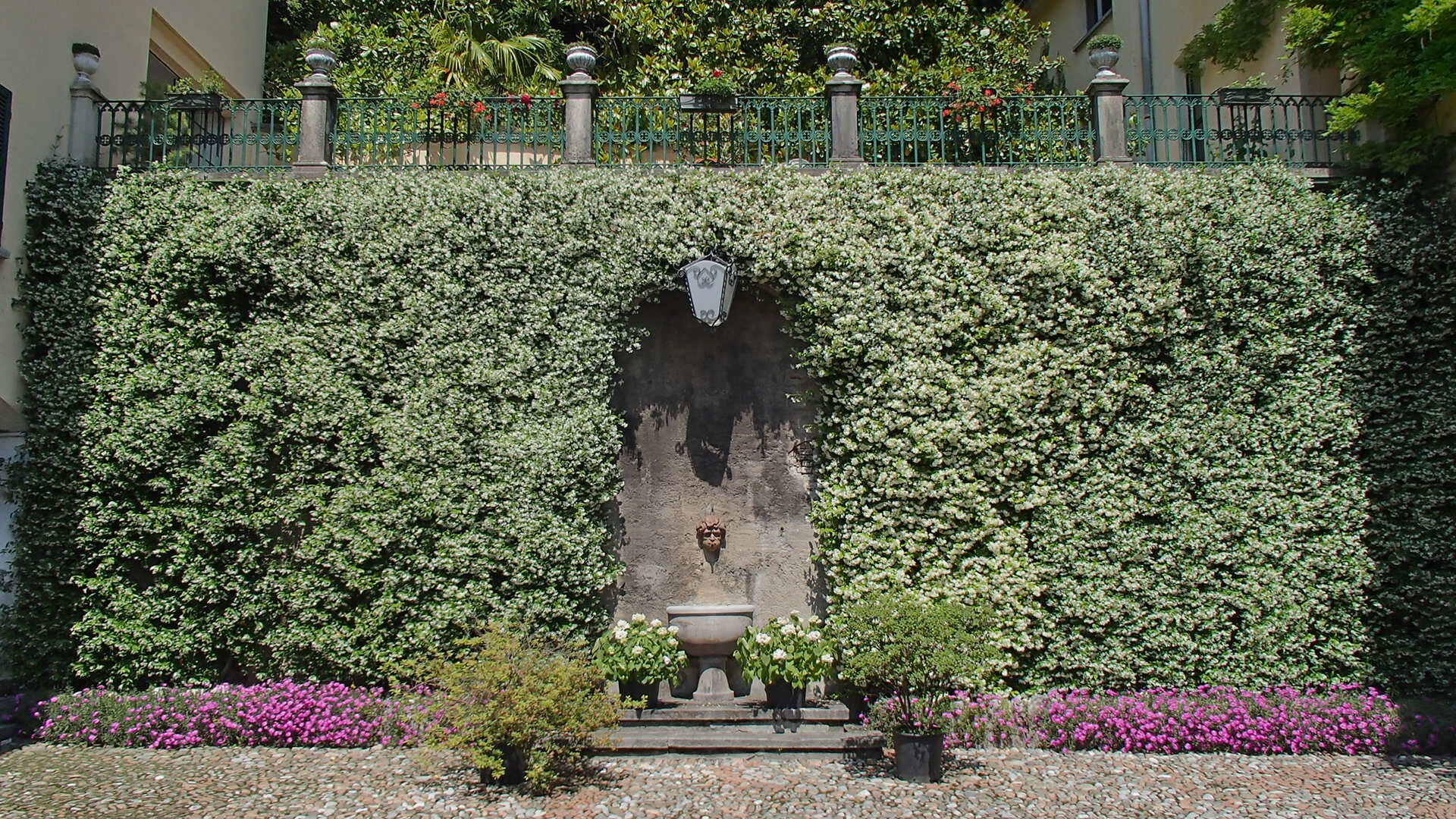 Palazzo Ronchelli 3