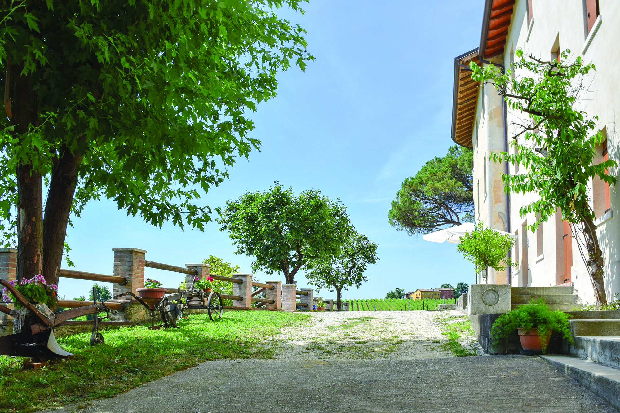 Terre Boscaratto 2