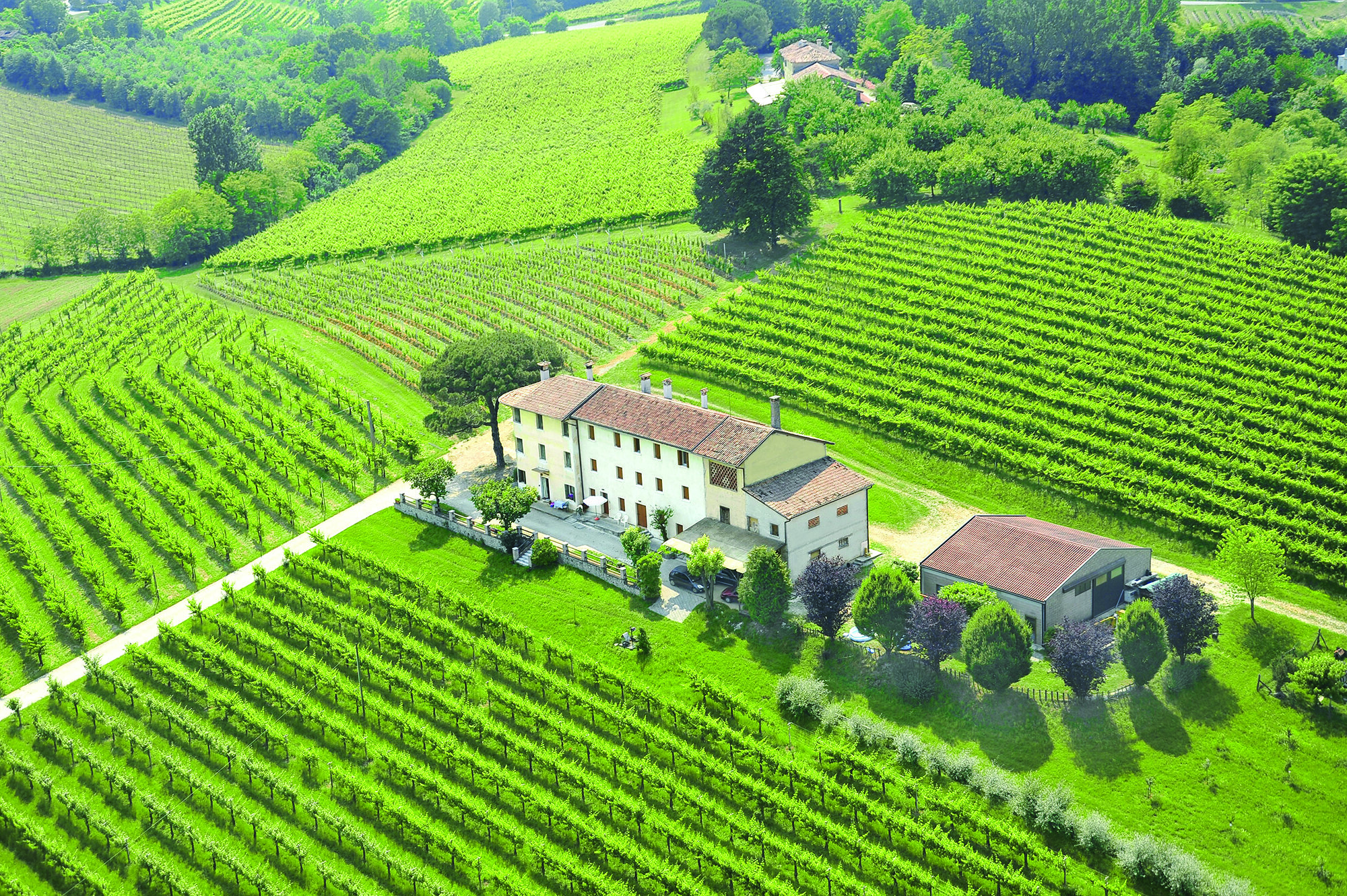 Terre Boscaratto