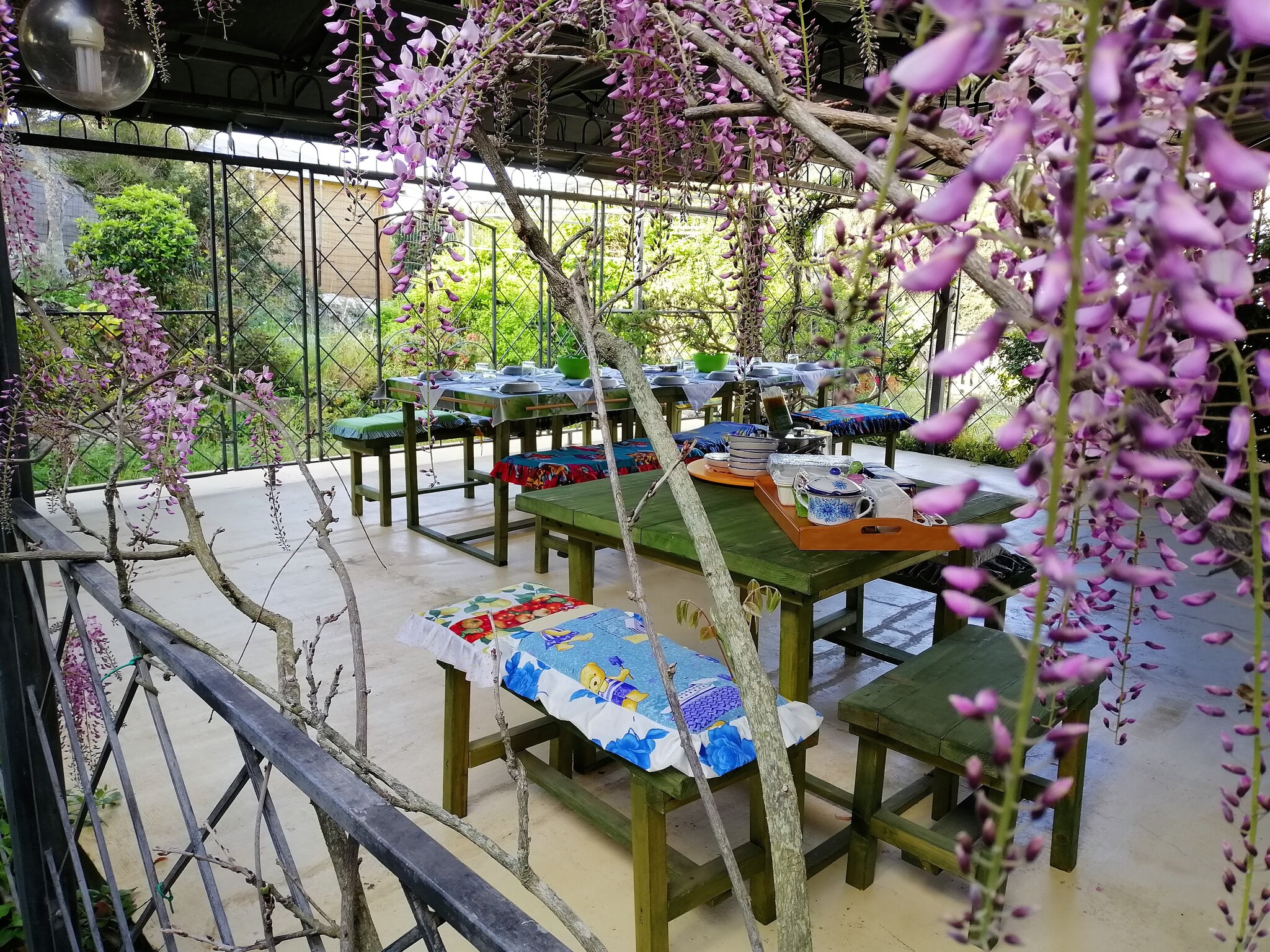 Agriturismo e Glamping Erbe Matte 4