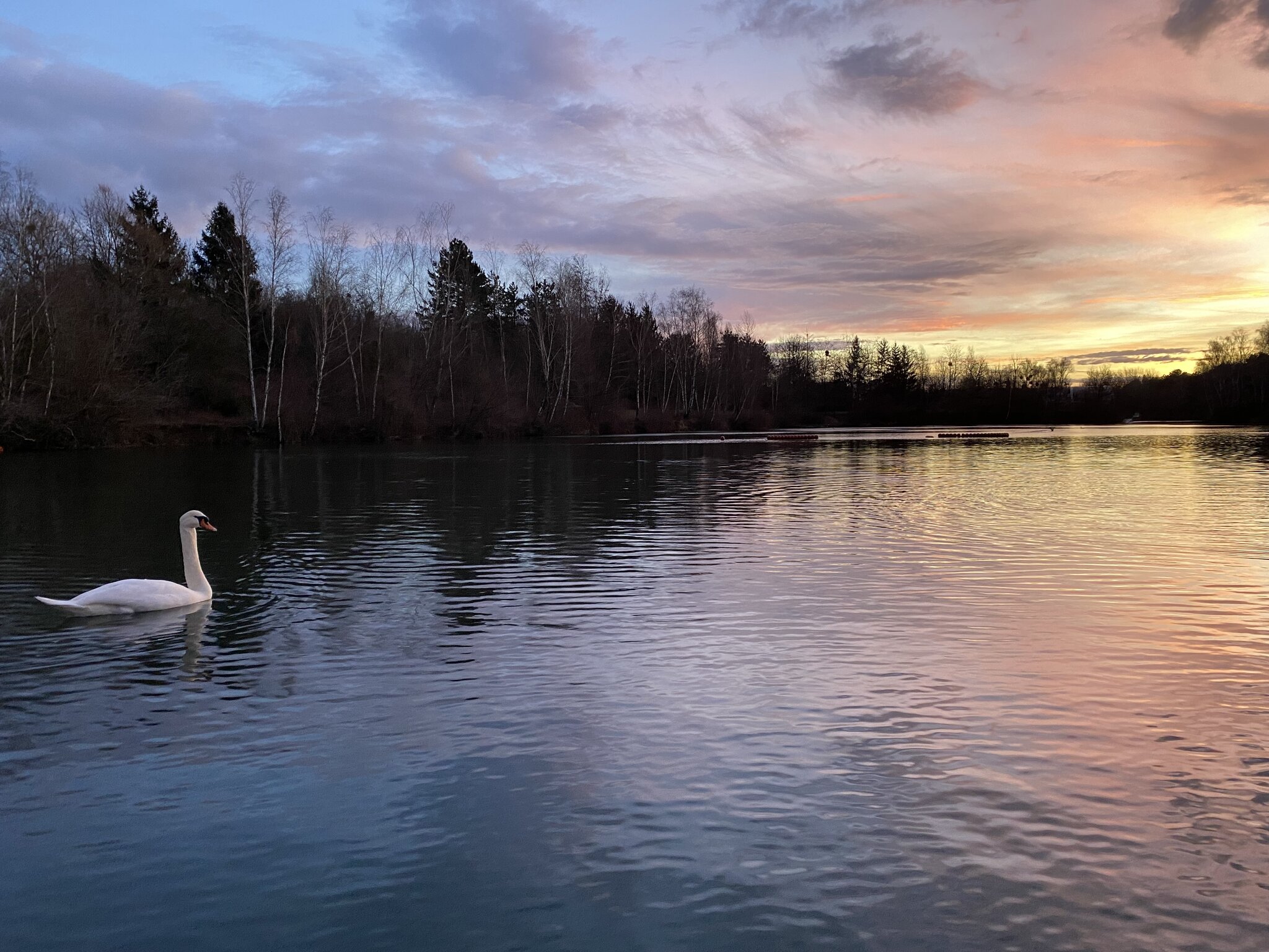 L´Escale Royale - Saint-Fargeau-Ponthierry 2