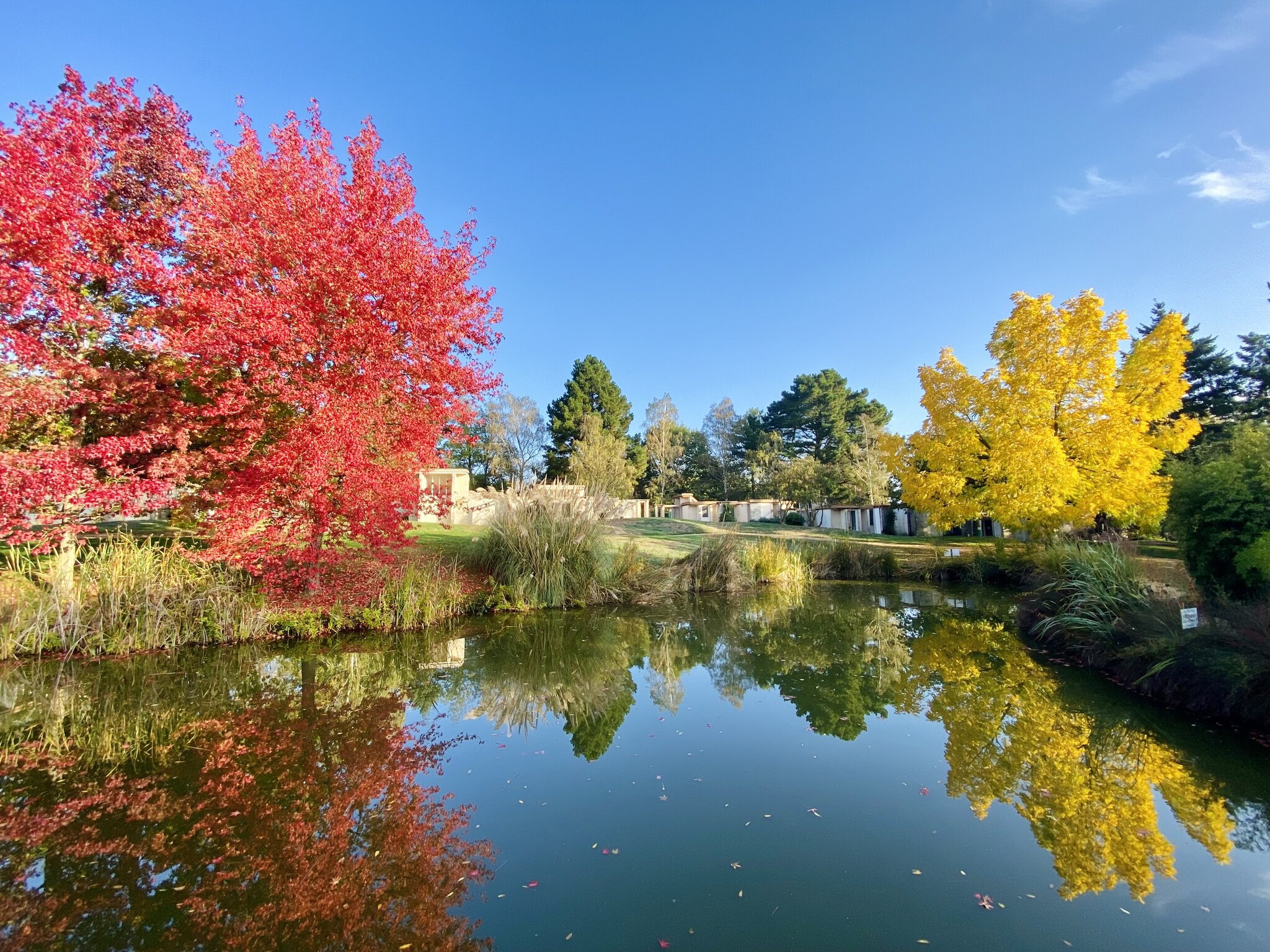Les Jardins de l'Anjou 5