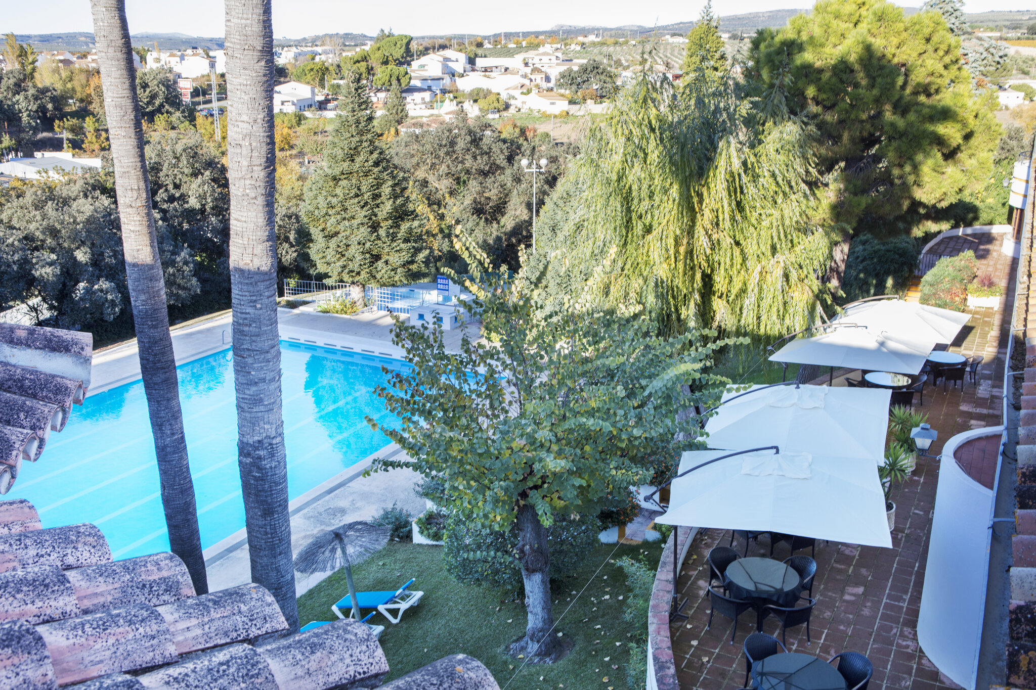 Hotel El Almendral 5