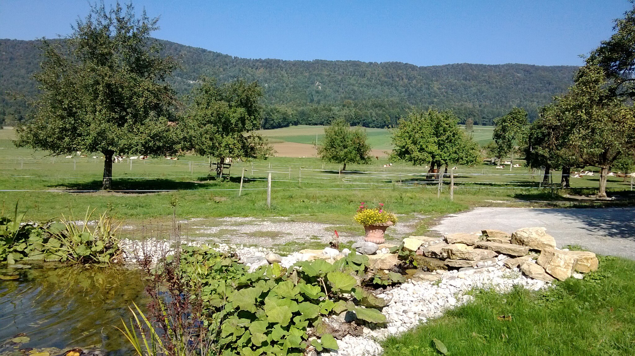 Gîte rural de Courcelon 3