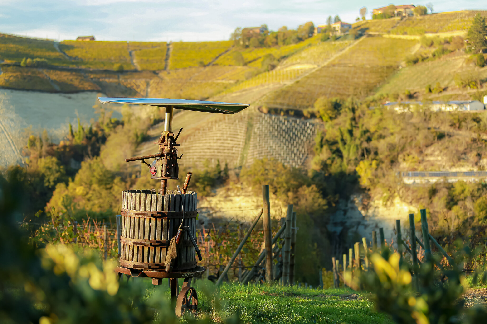 Cadgal - Tenuta Valdivilla 3