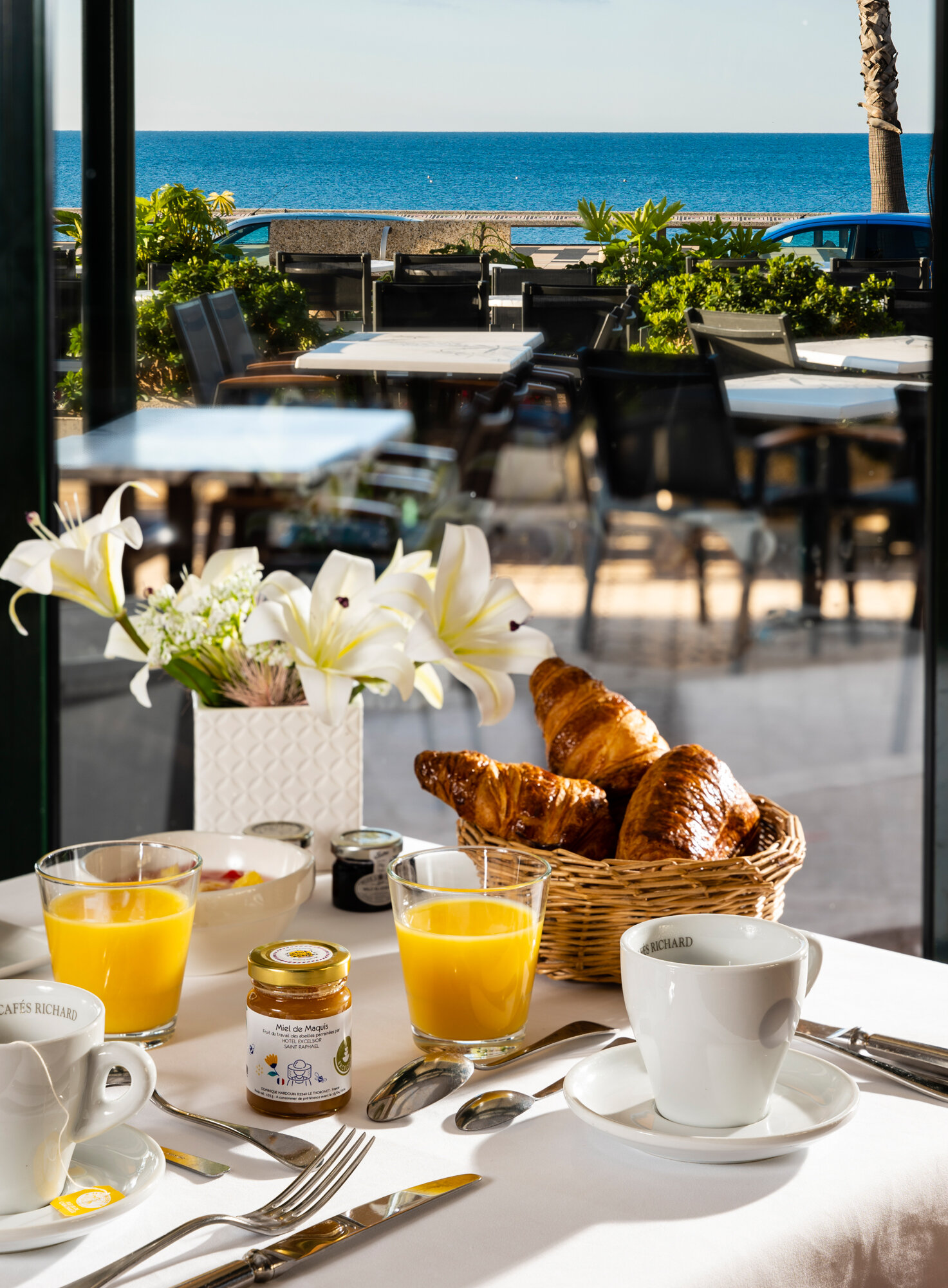 Hôtel Excelsior 3