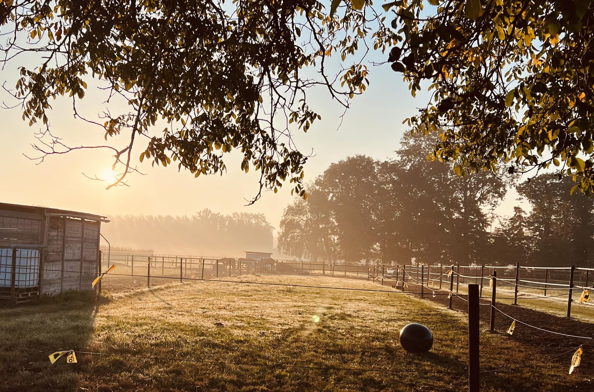 Hof van 't Rommersum 3