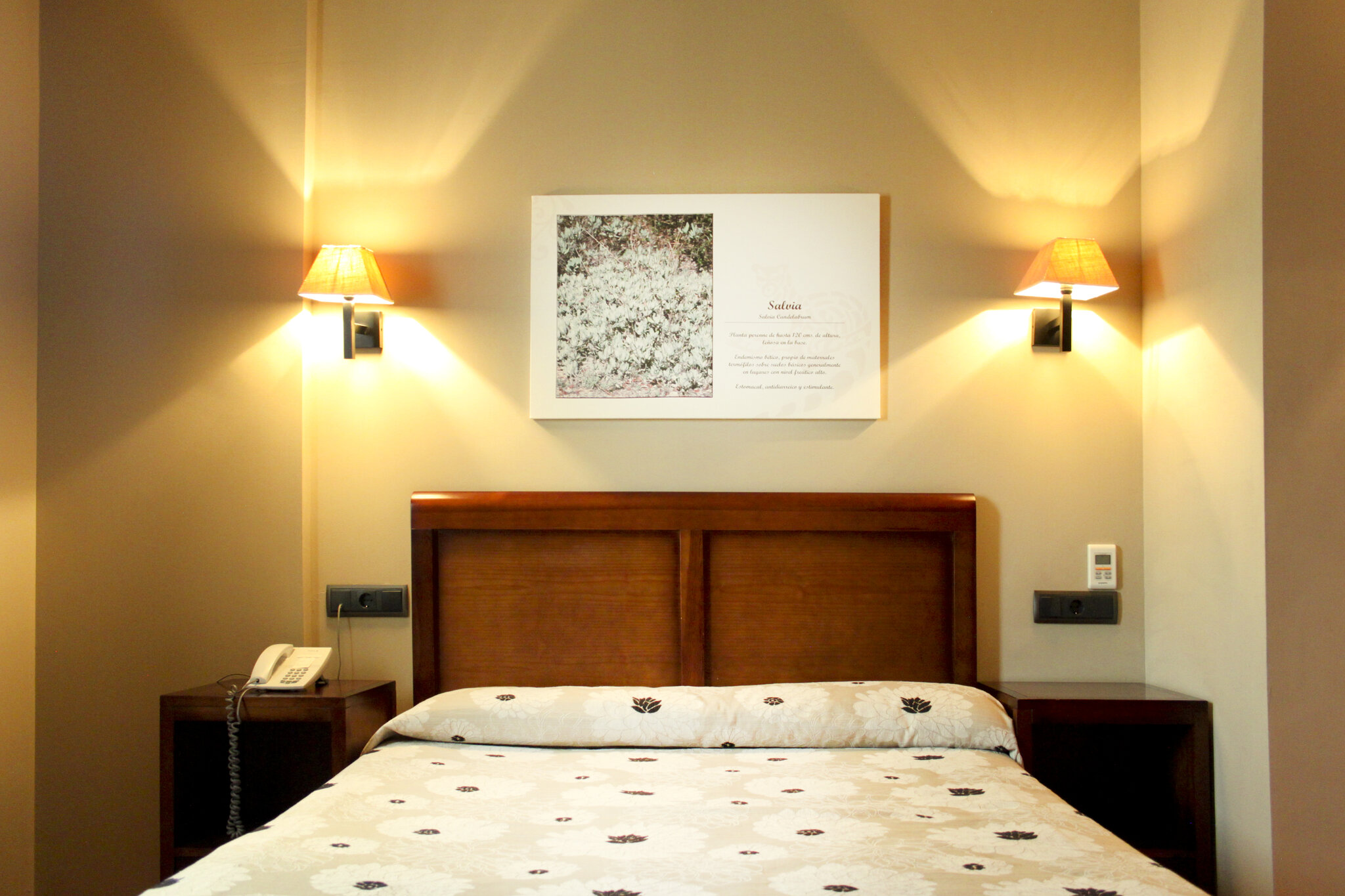 Hotel Zerbinetta