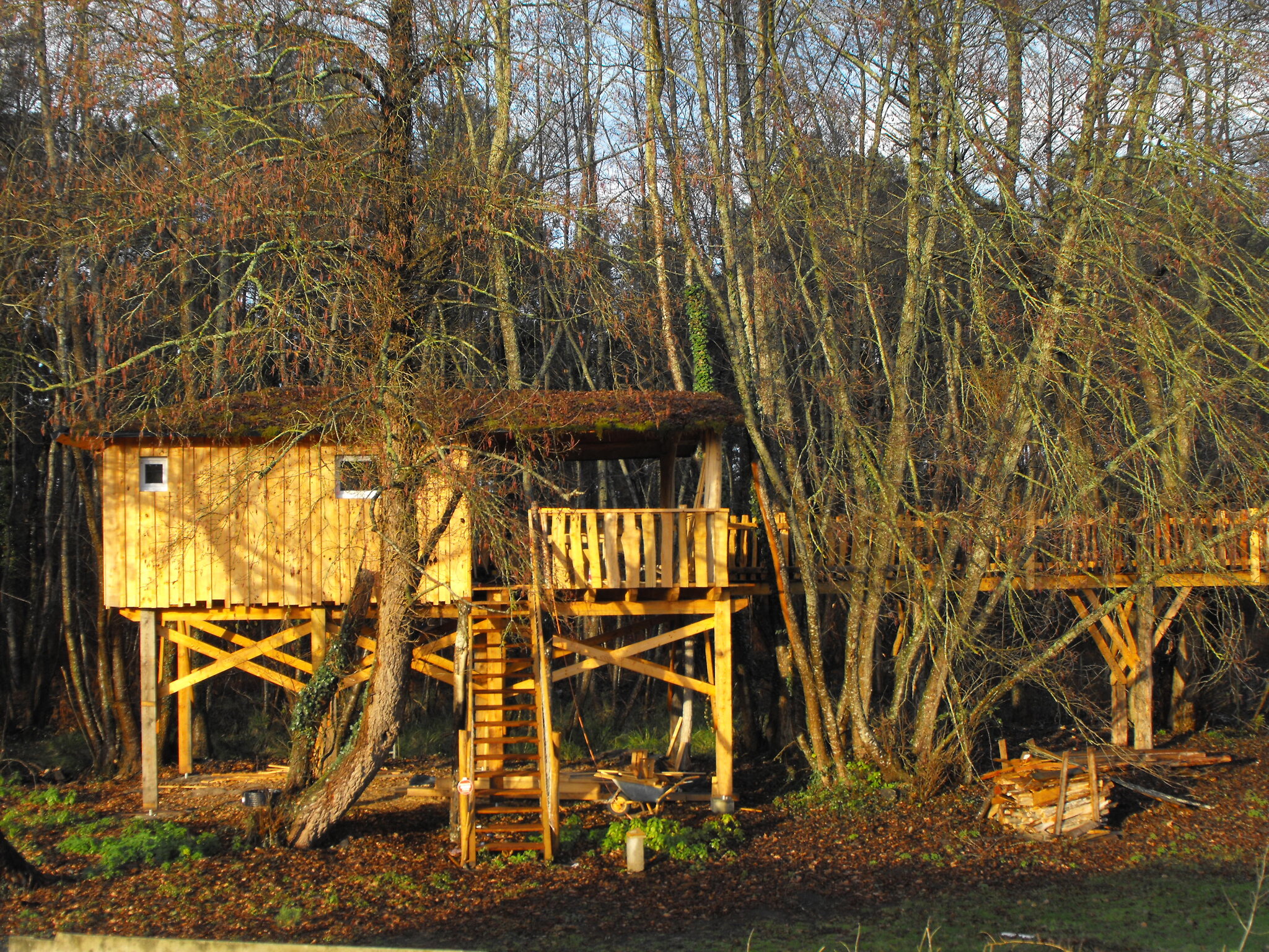 Ferme de l'Argenté - Cabane des Cerfs