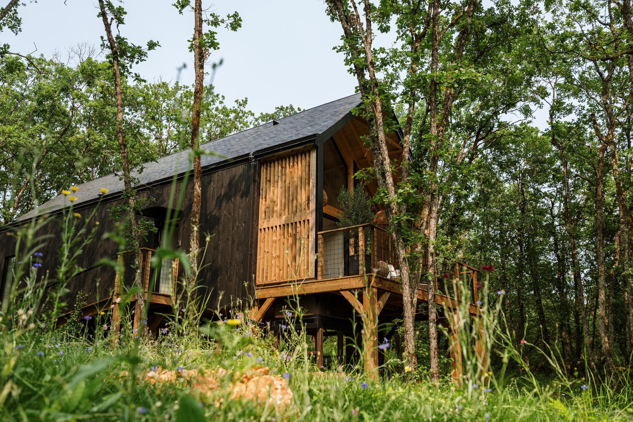 Wabi Sabi Lodge & Spa