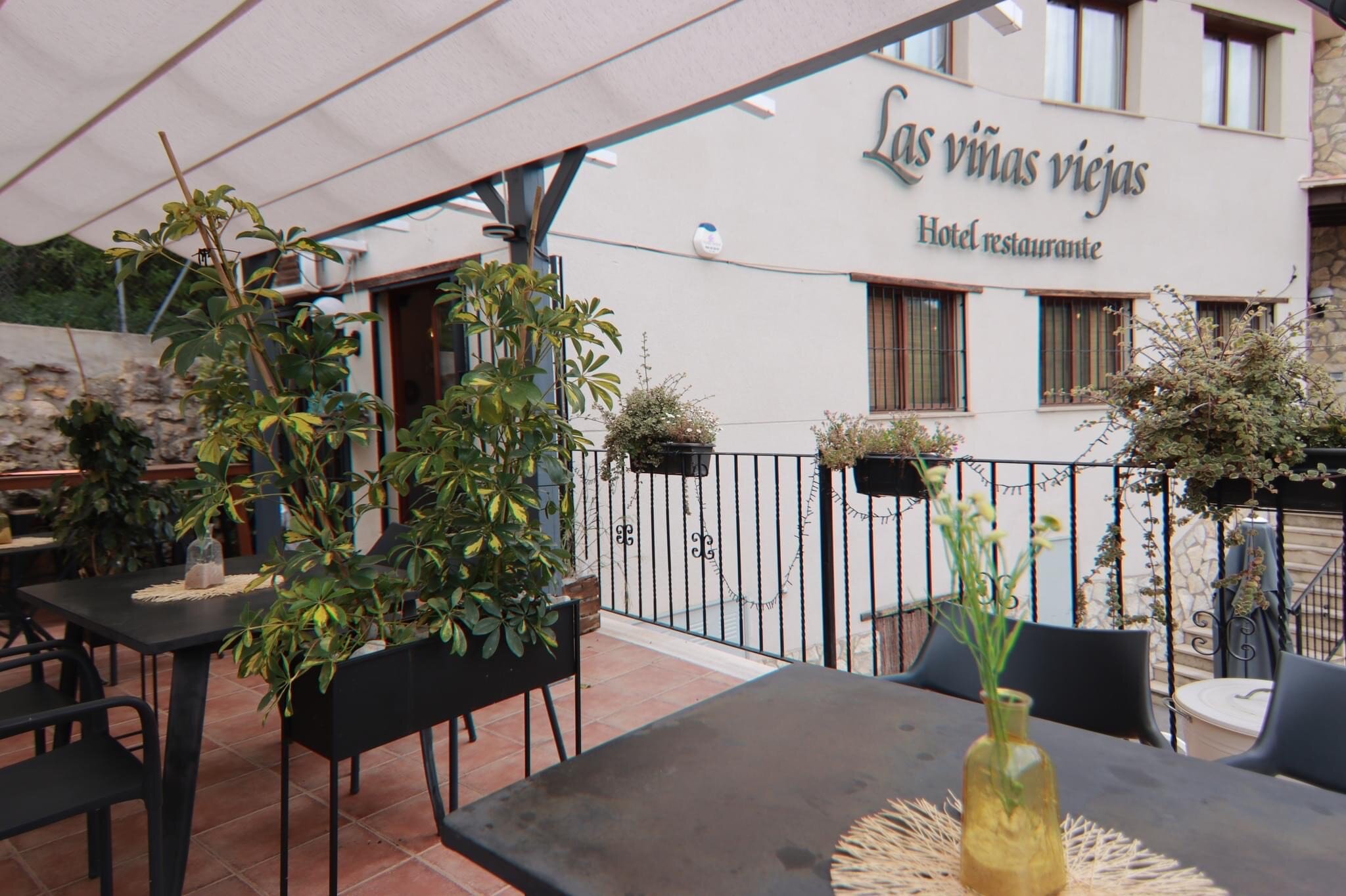 Hotel Restaurante Viñas Viejas 2