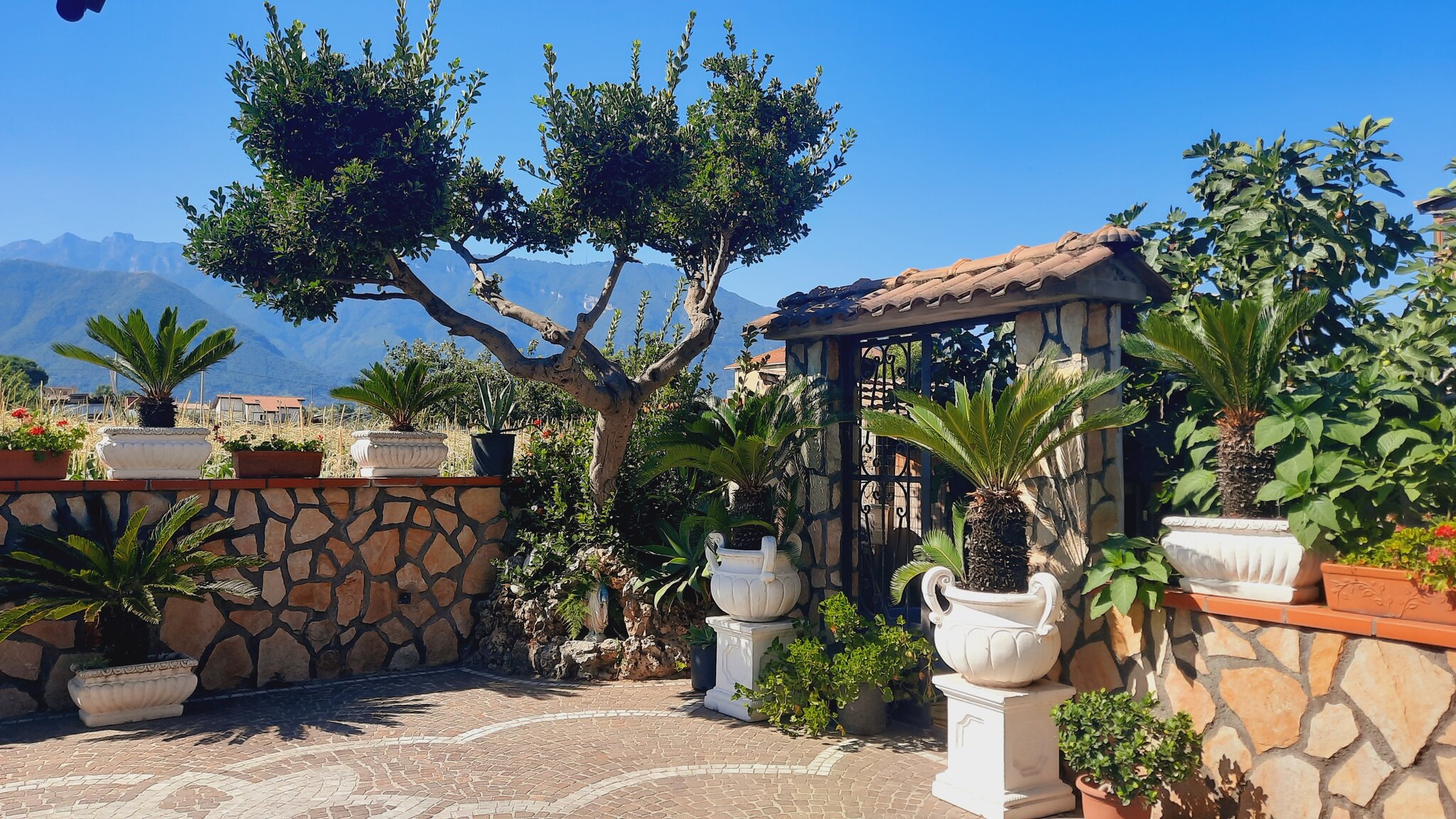 Buonocore Rooms Bed & Breakfast