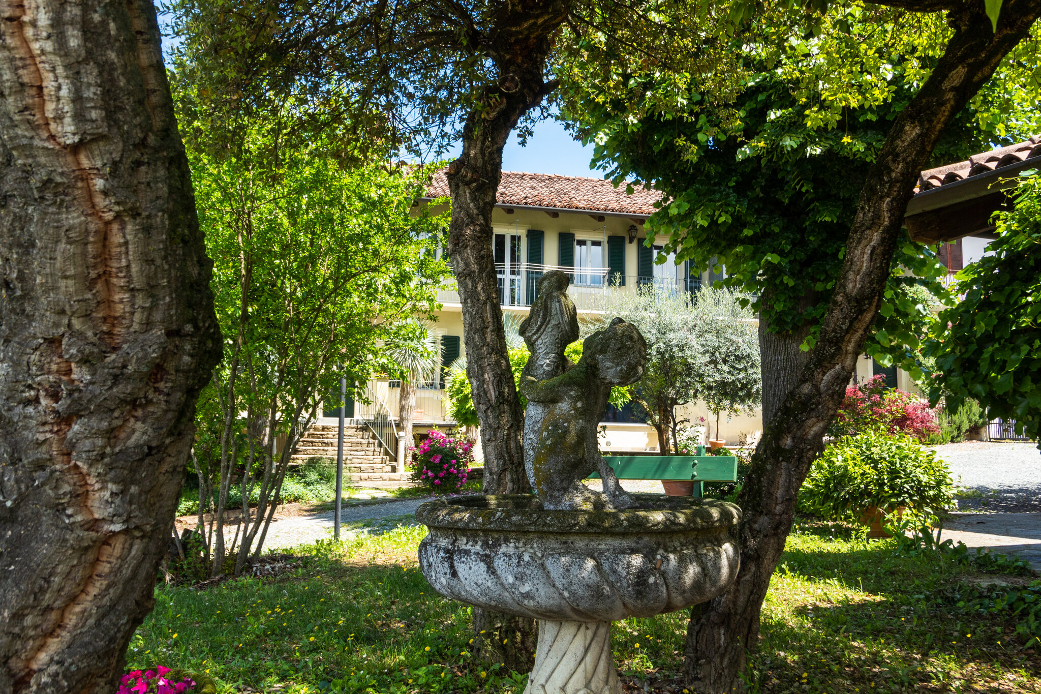 Alba Morus 3