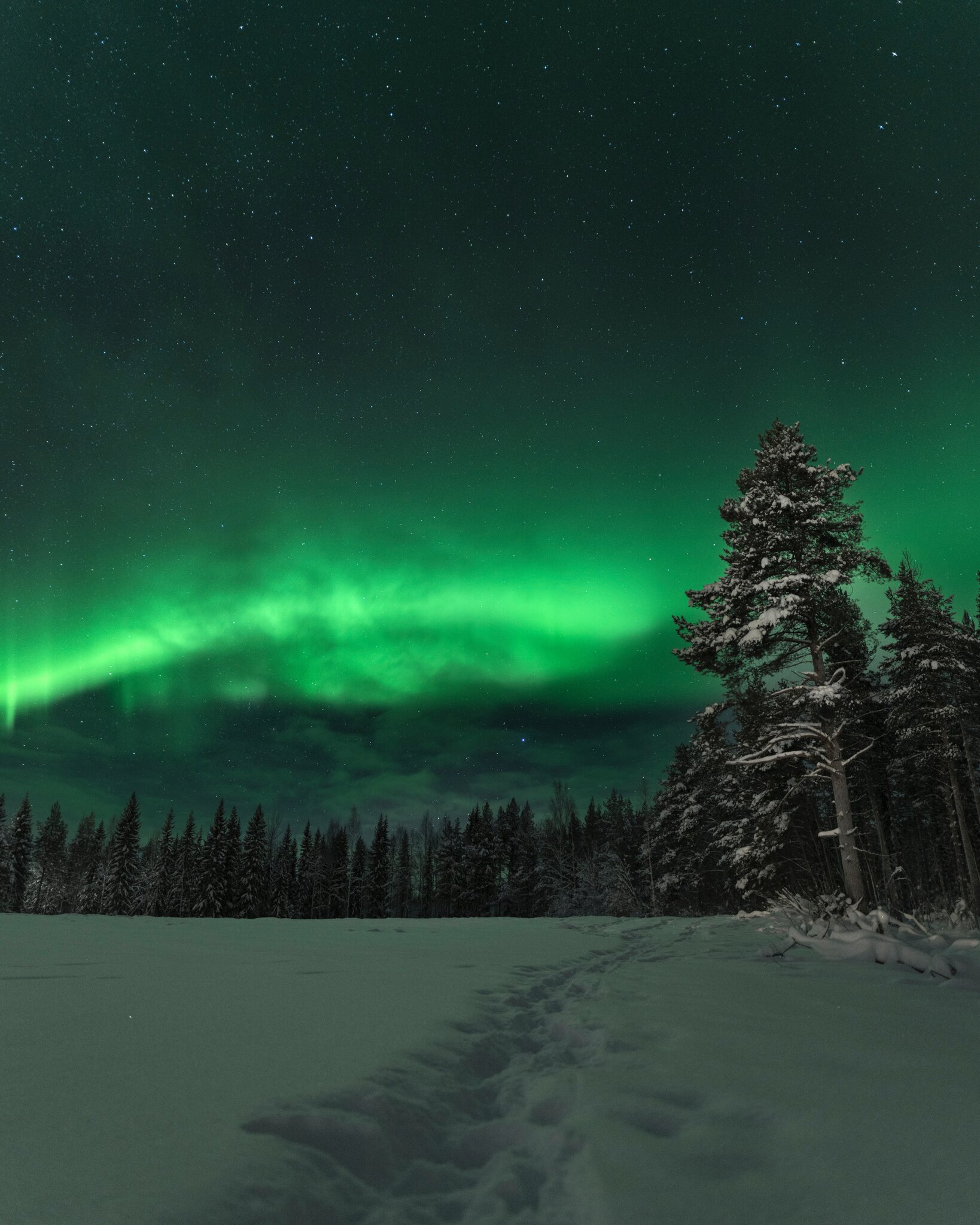 Northern Lights Schweden
