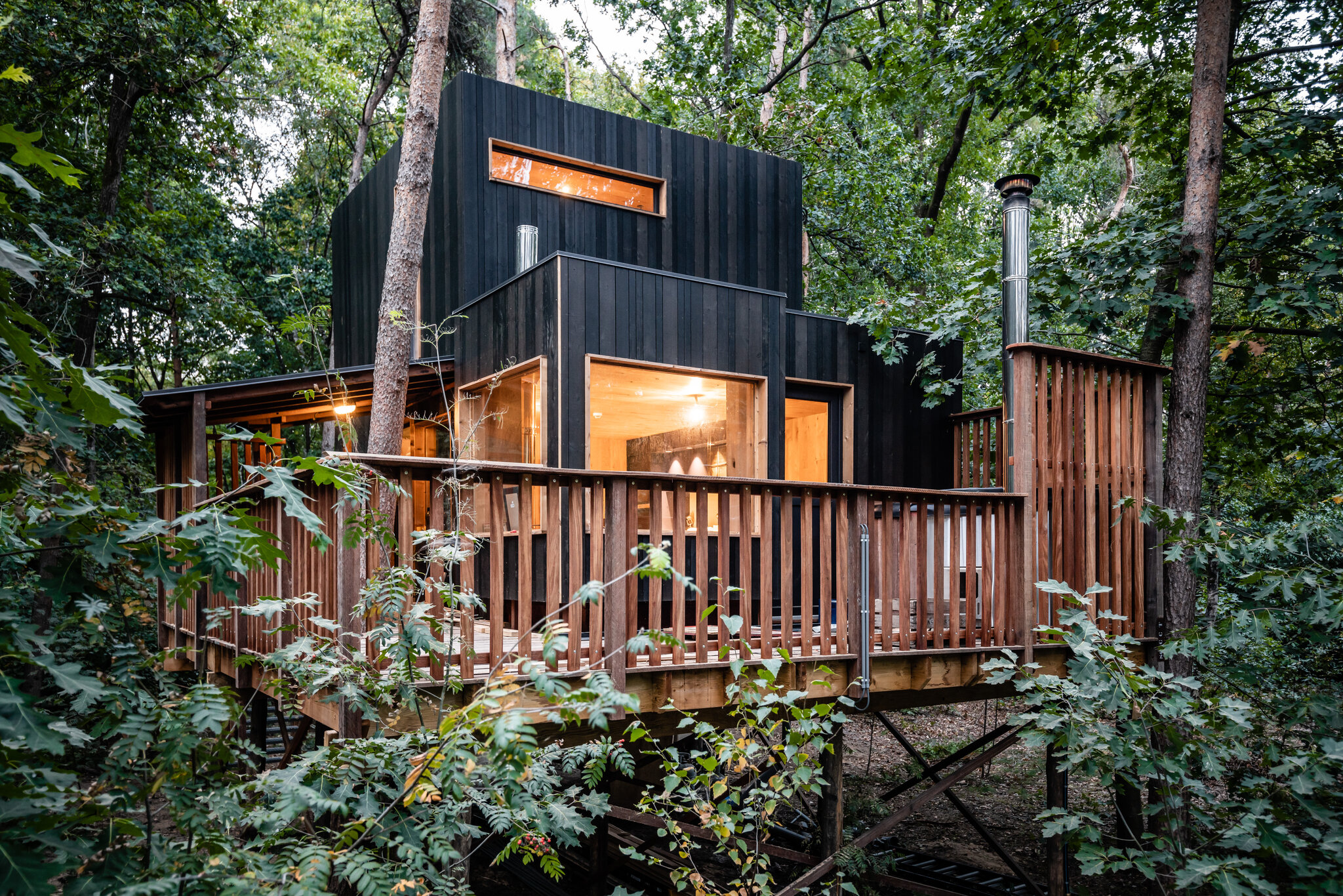 Treelodge 4