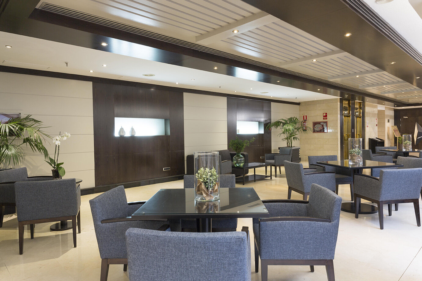 Hotel Intelier Rosa 3