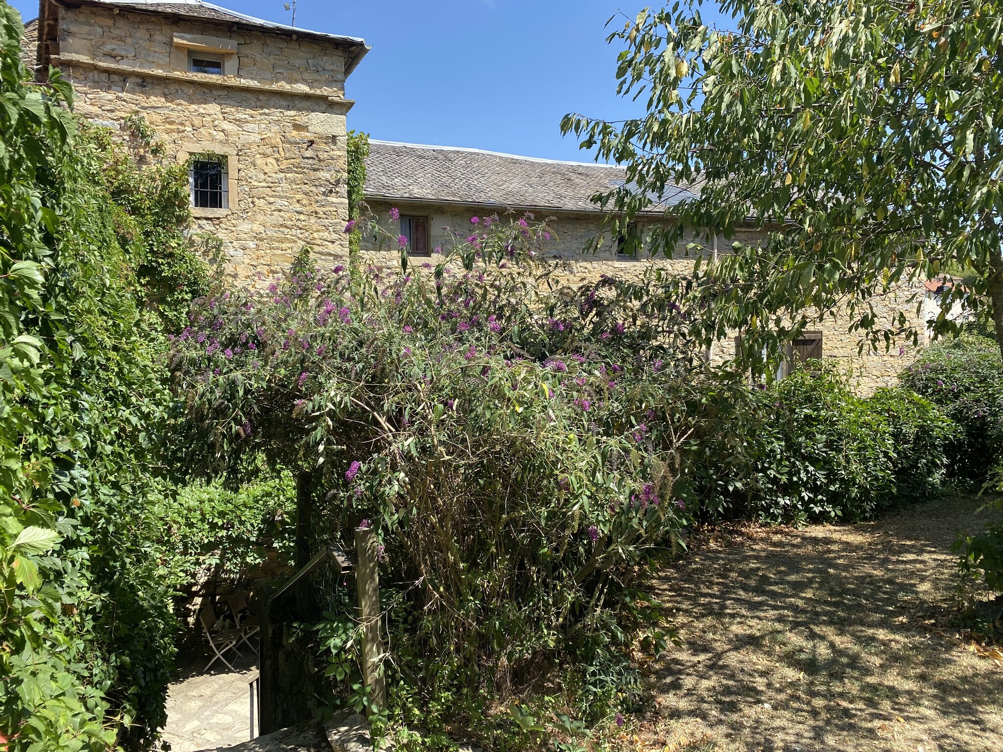Domaine d'Alcapiès 5