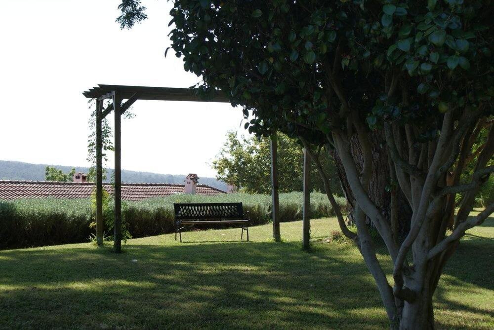 Quinta do Paço d'Anha 3