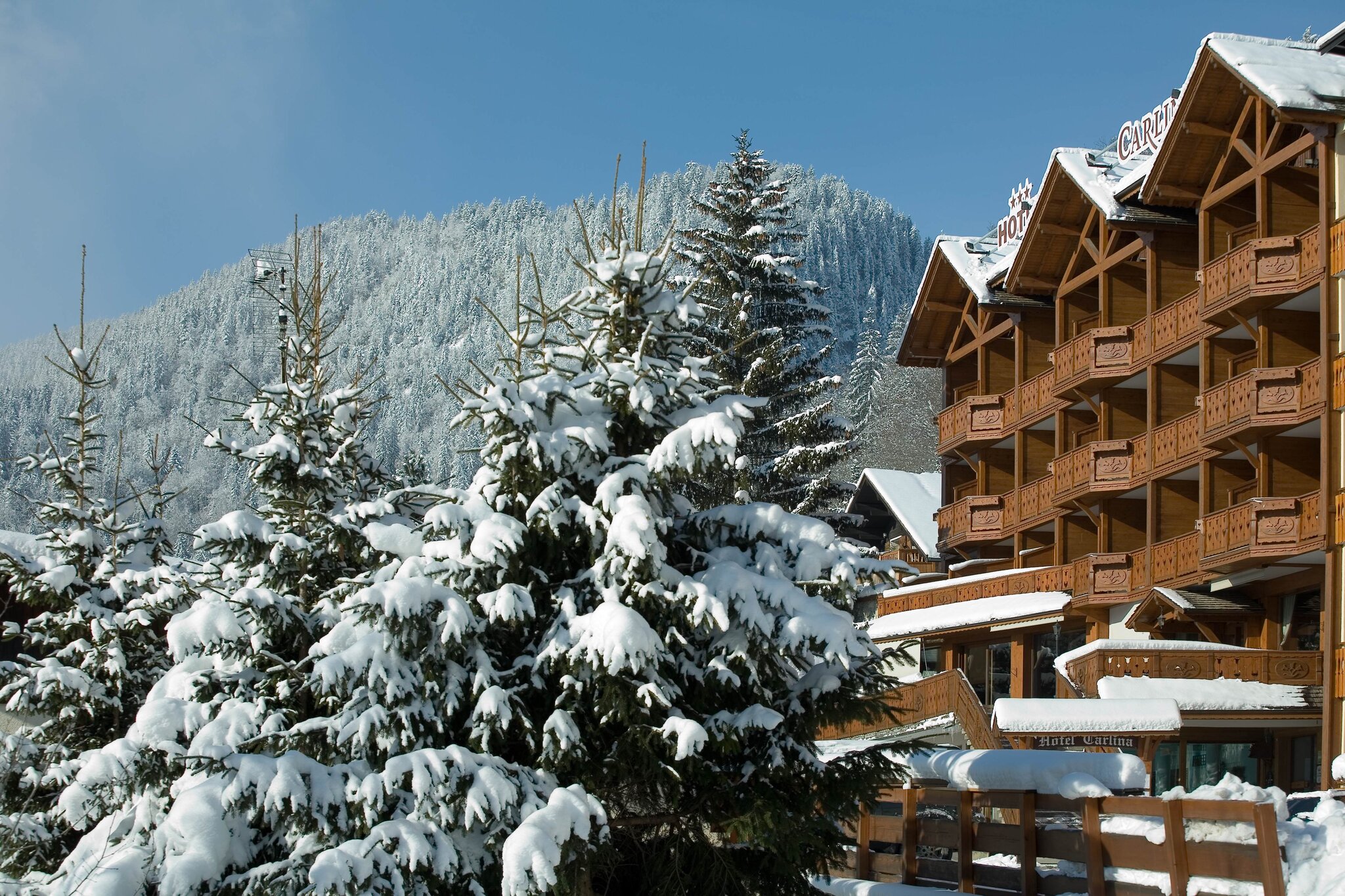 Hôtel Carlina