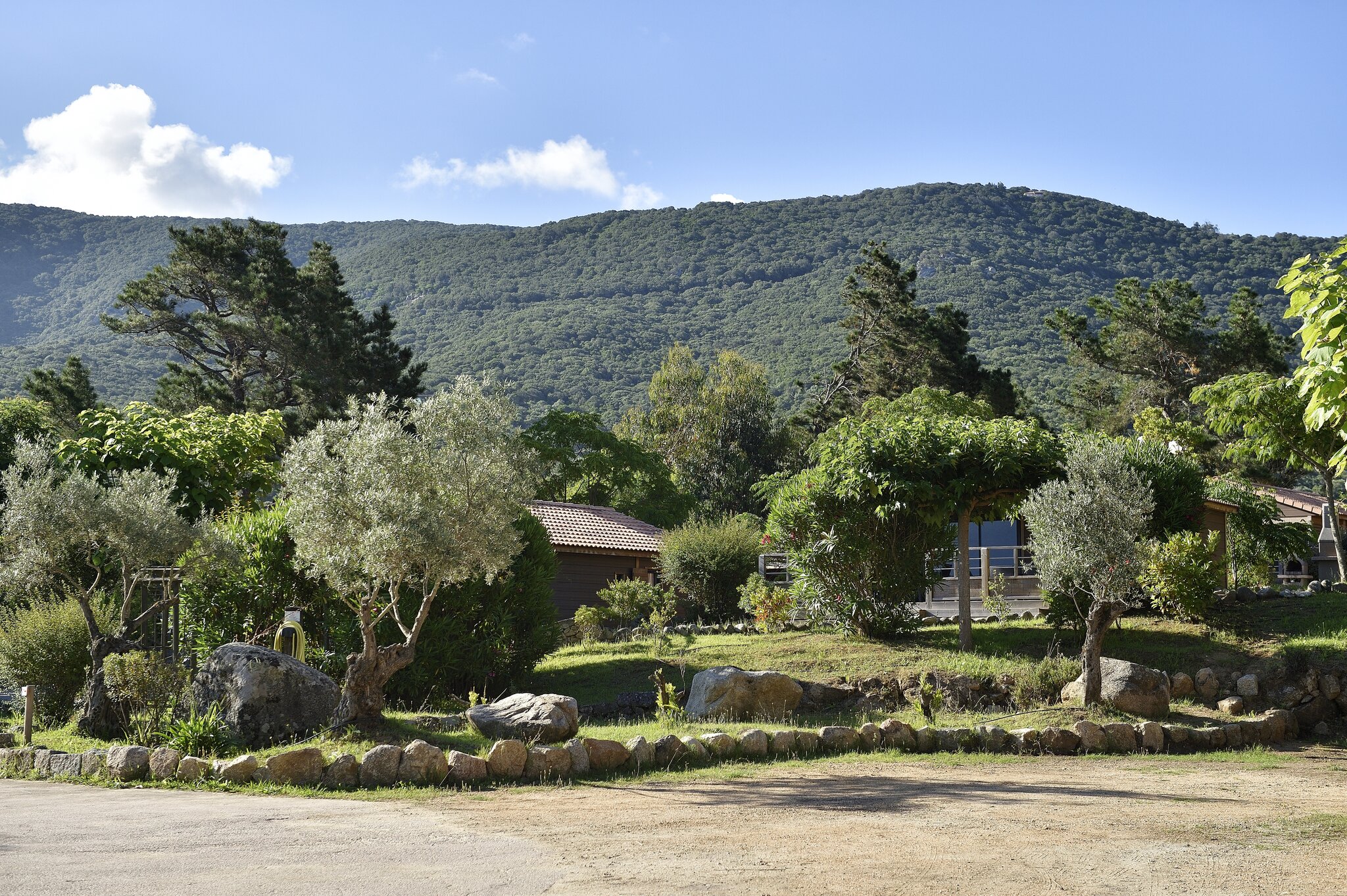Résidence & Hôtel U Livanti 3