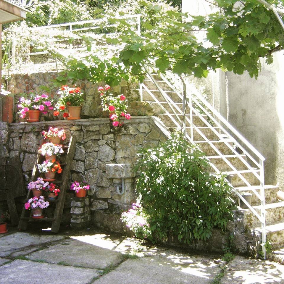 Osteria del Vicolo 2