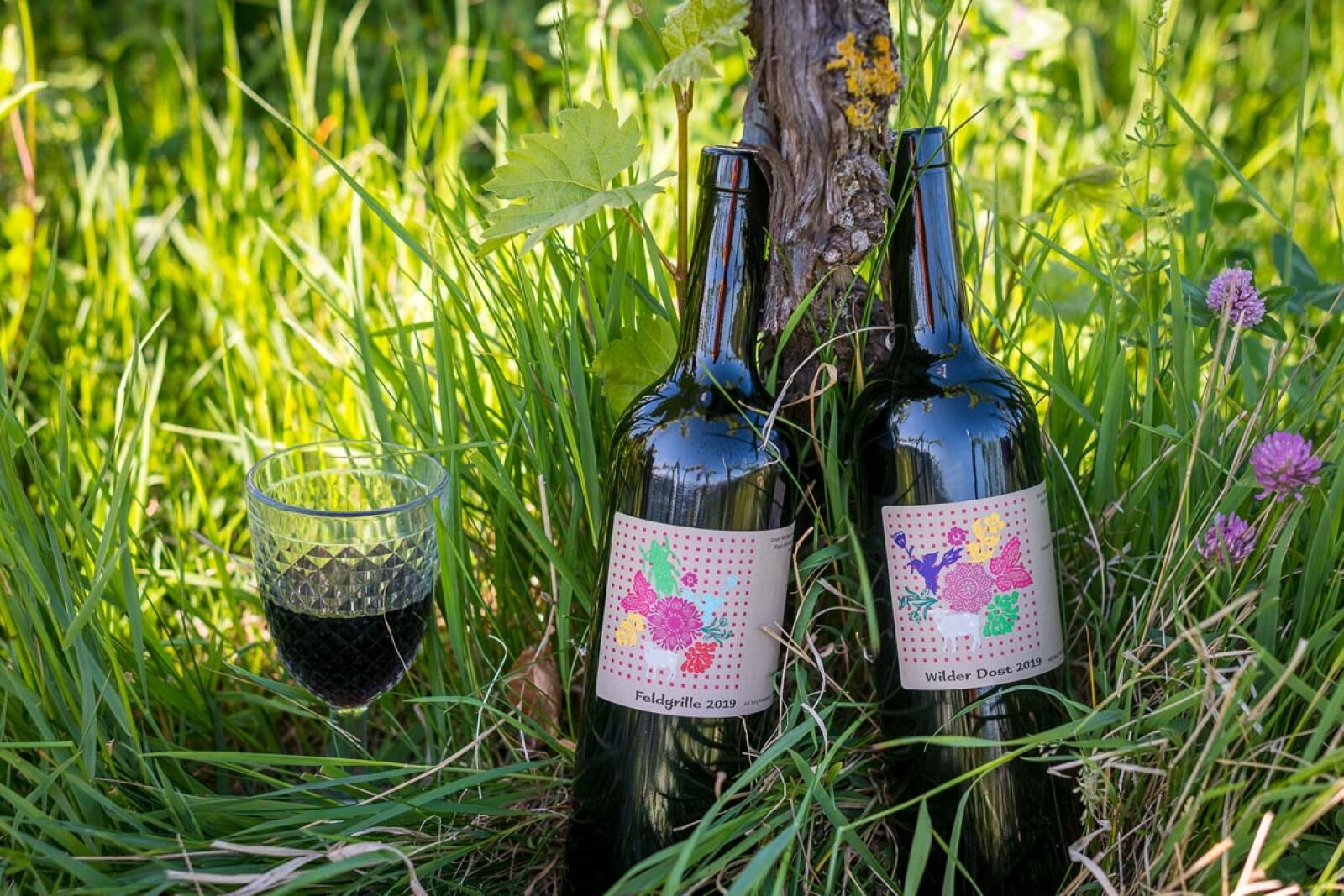 Biowine App 3