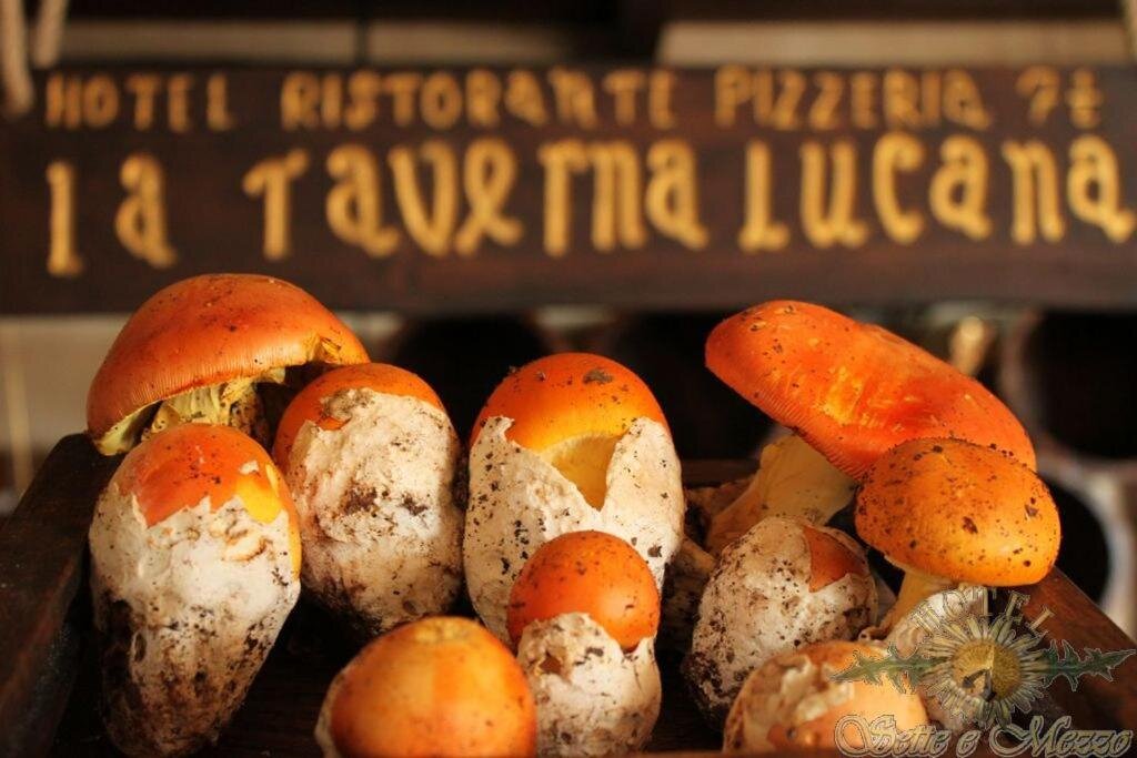 Hotel Sette e mezzo e Ristorante  La Taverna Lucana 2