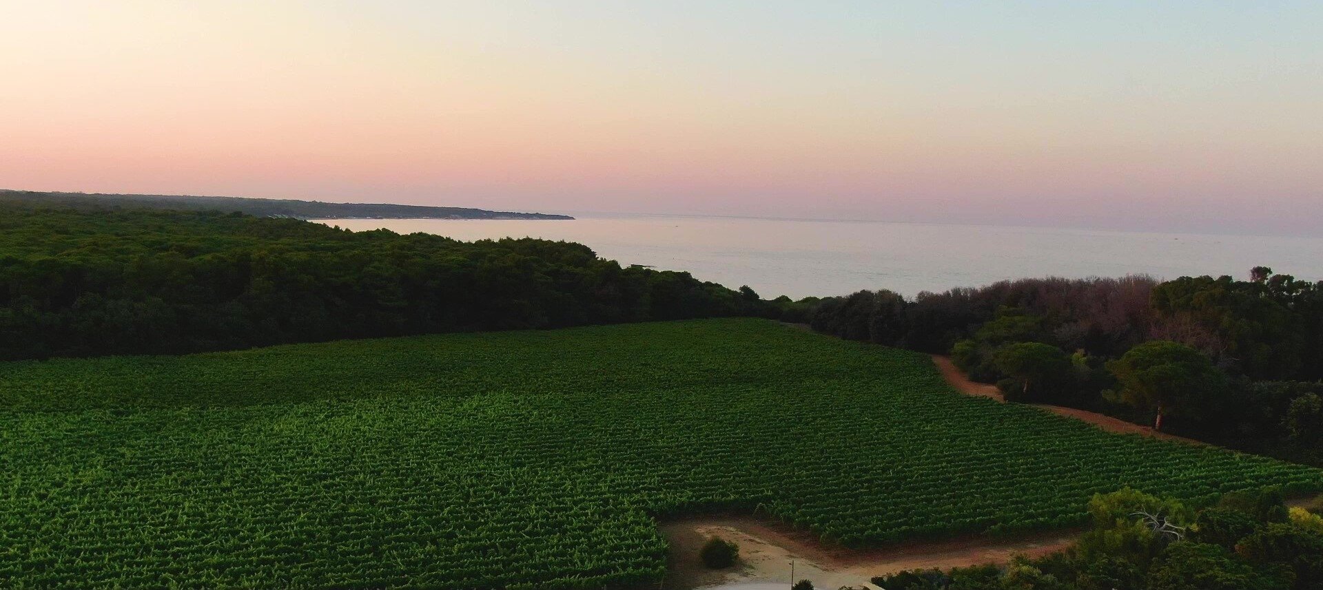 Tenuta Corallo Winery 3