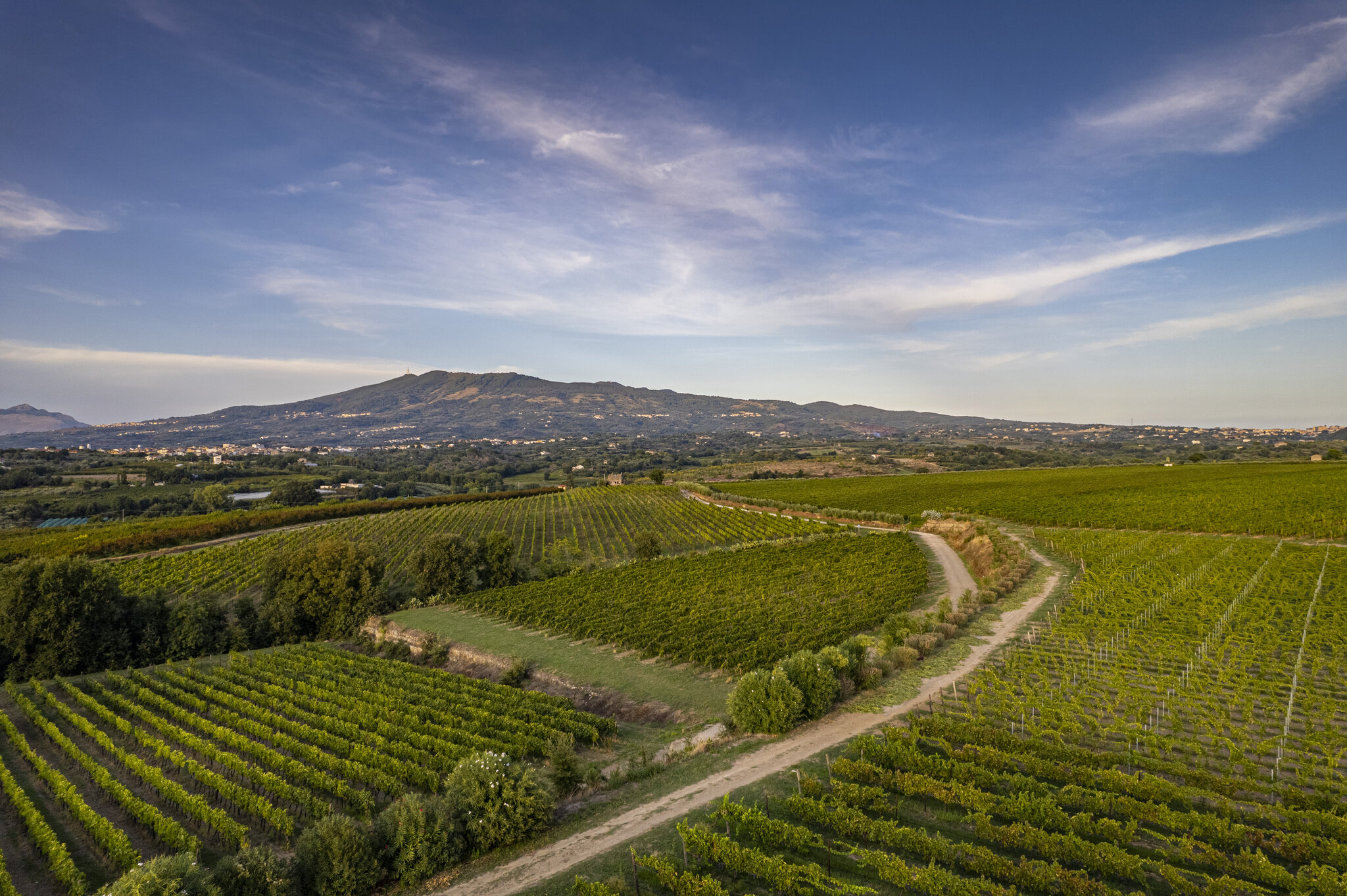 Villa Matilde Avallone 2