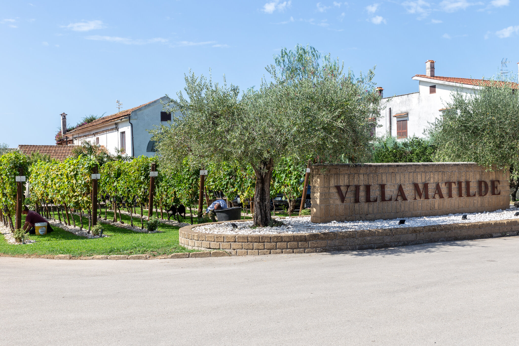 Villa Matilde Avallone