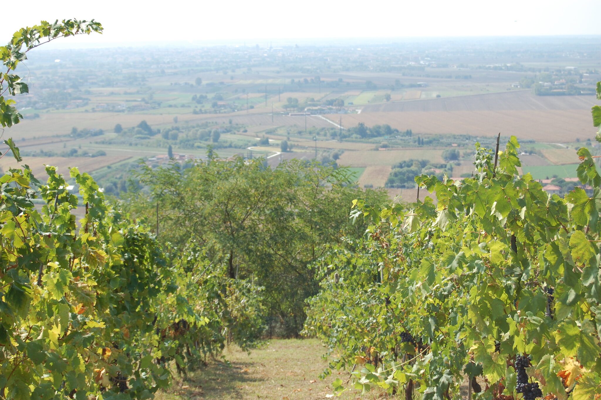Agriturismo La Grotta 2
