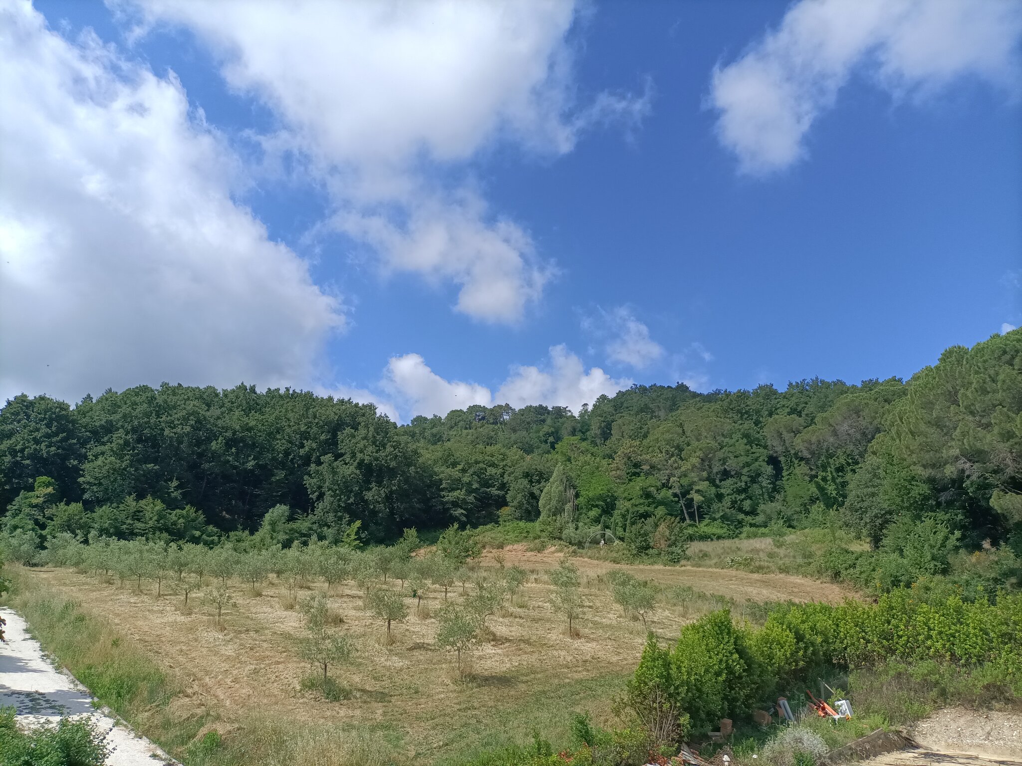 Agriturismo Regno di Toscana 3