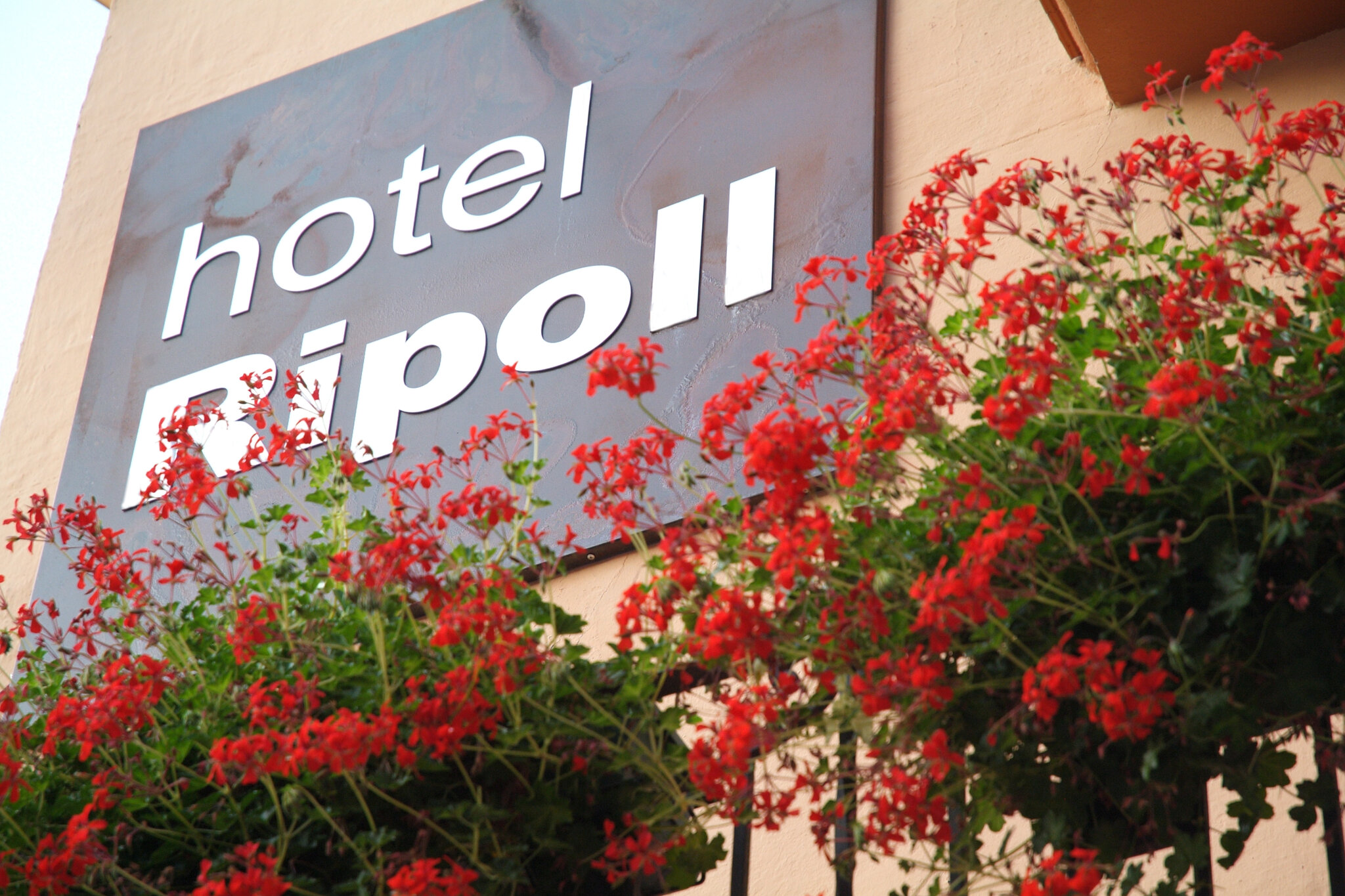 Hotel Ripoll 3