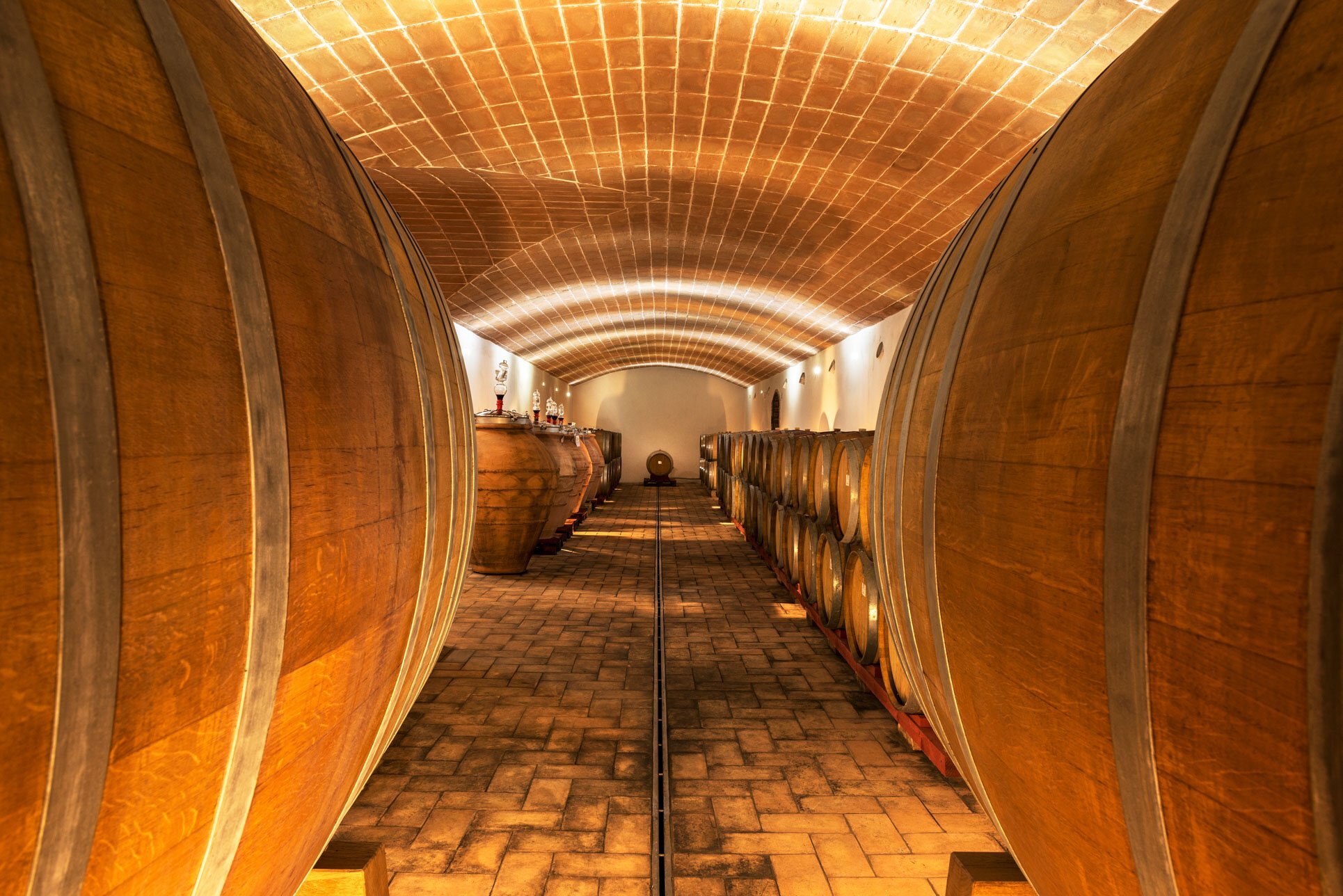 Tenuta Casteani 3