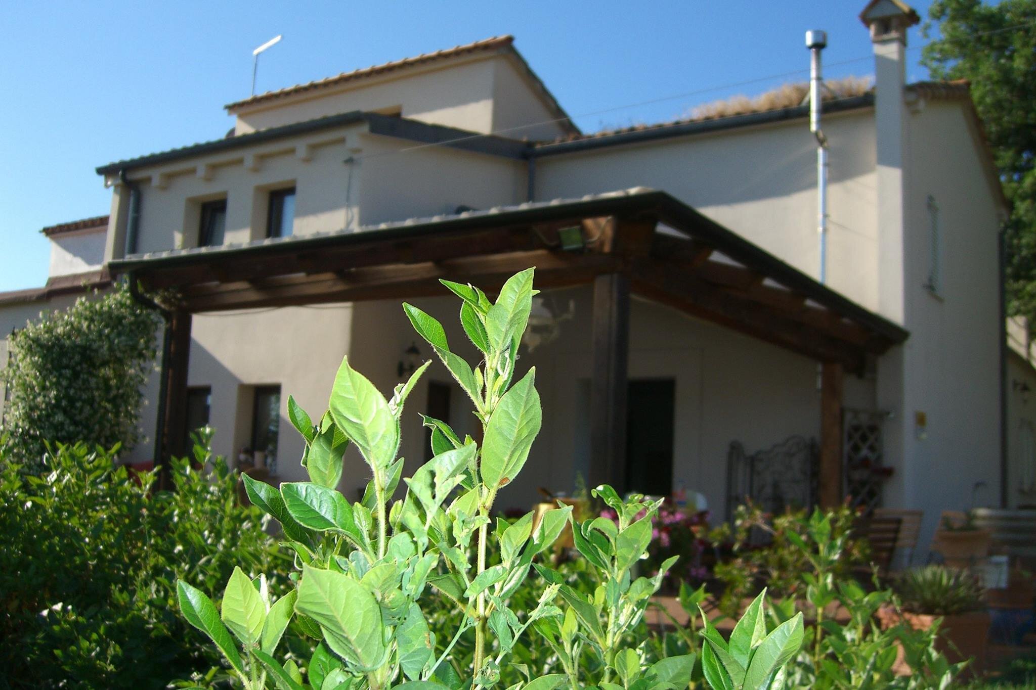Tenuta Carbognano 4
