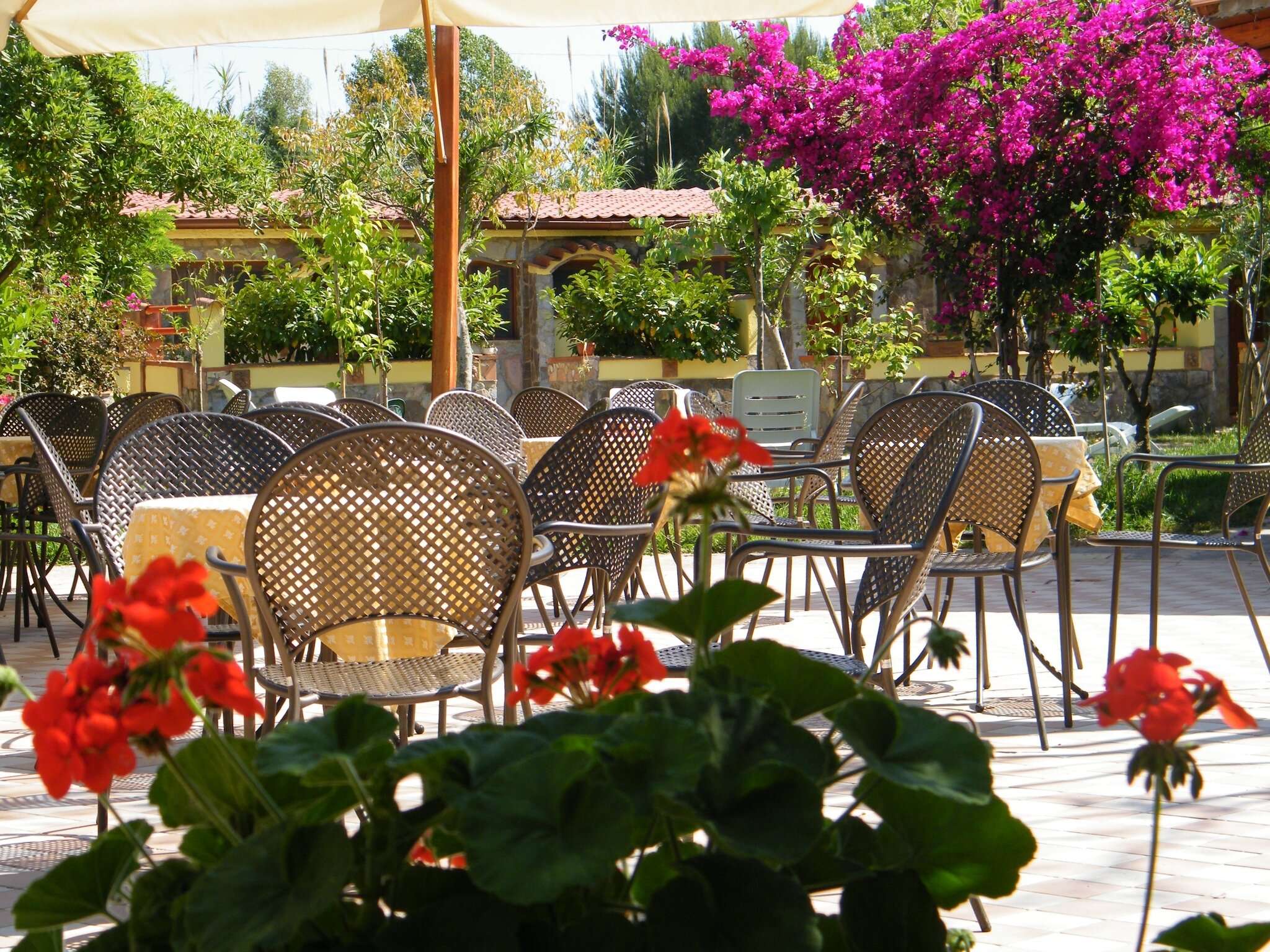 Hotel Villaggio Tabù 5