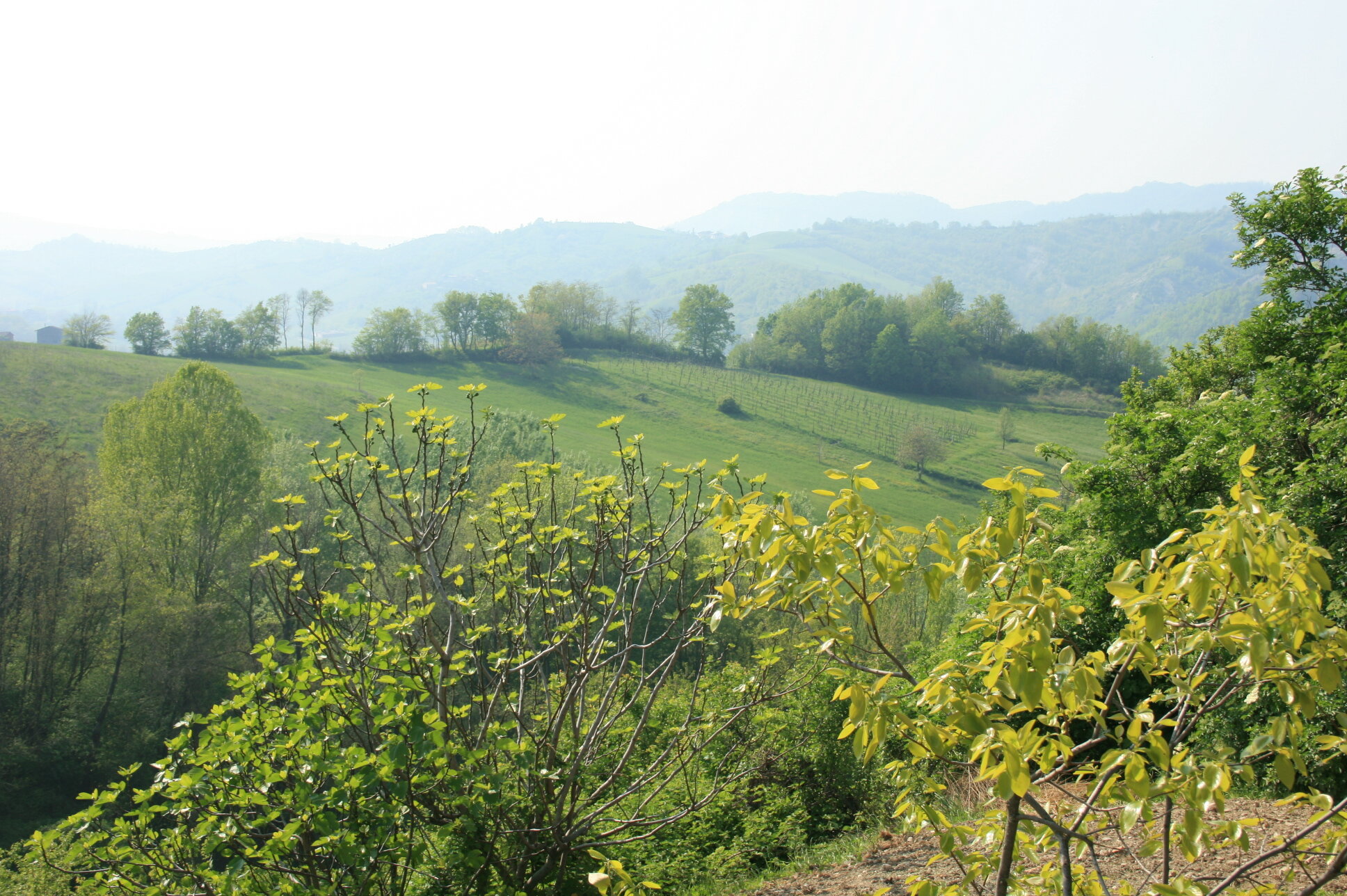 Casa dell'Abbondnza BeB 4