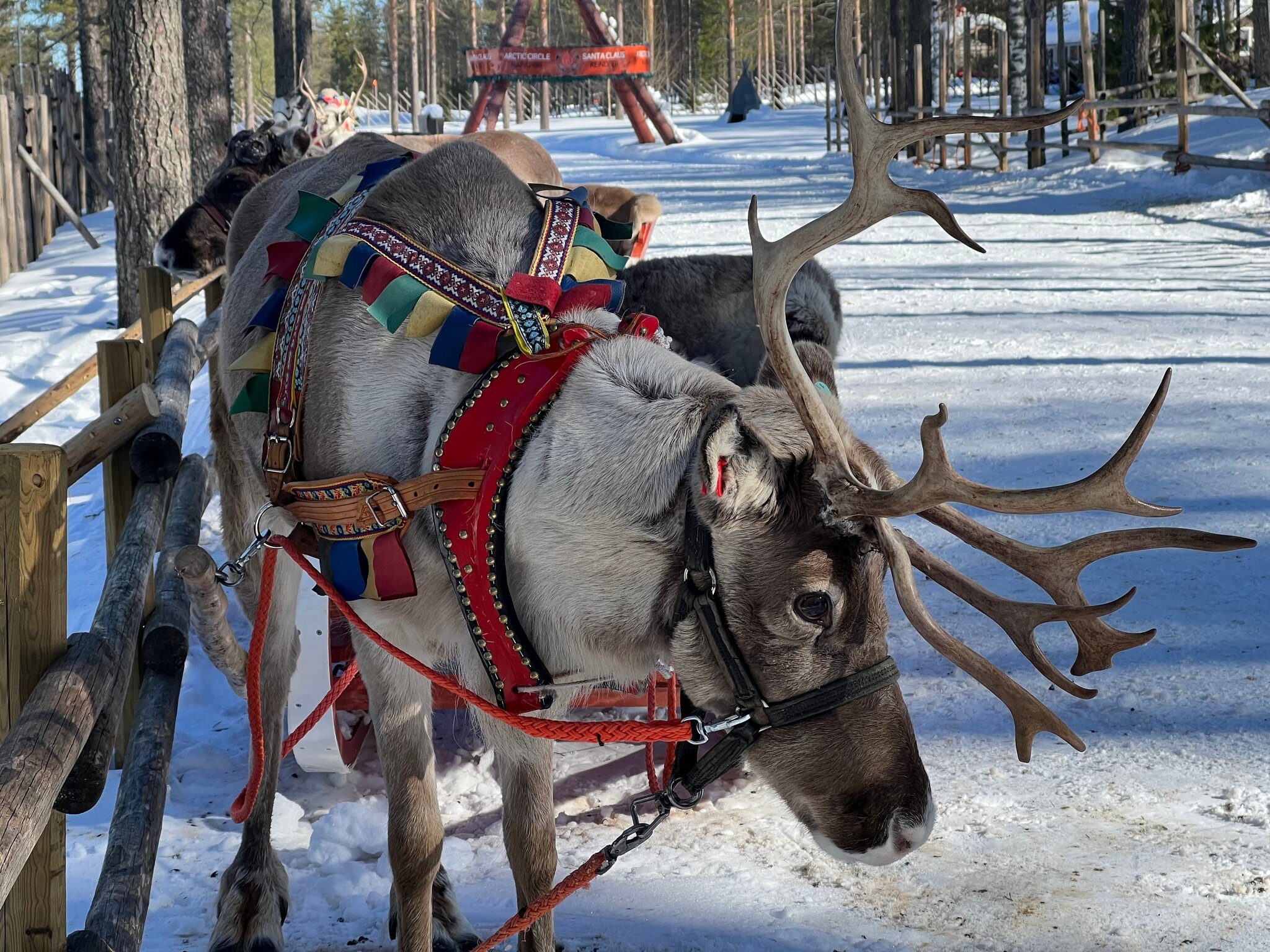 Worldia-Rovaniemi 4