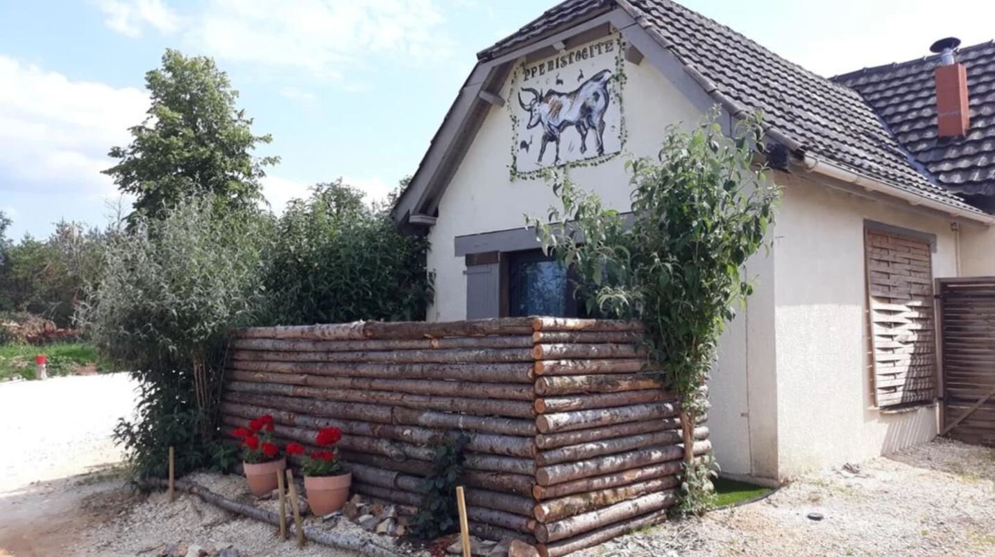 Préhistogîte