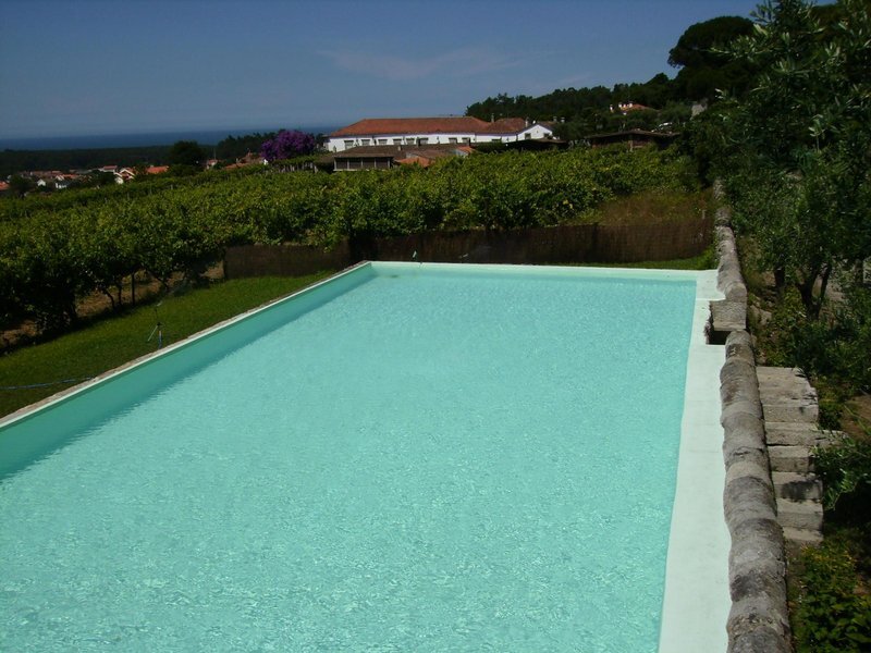 Quinta do Paço d'Anha 4