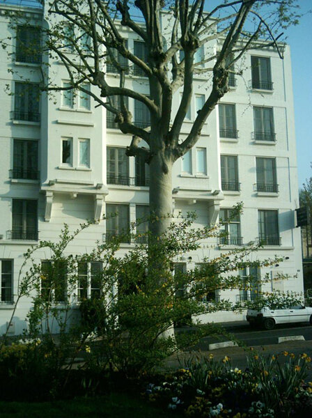 Hôtel de la Jatte 4